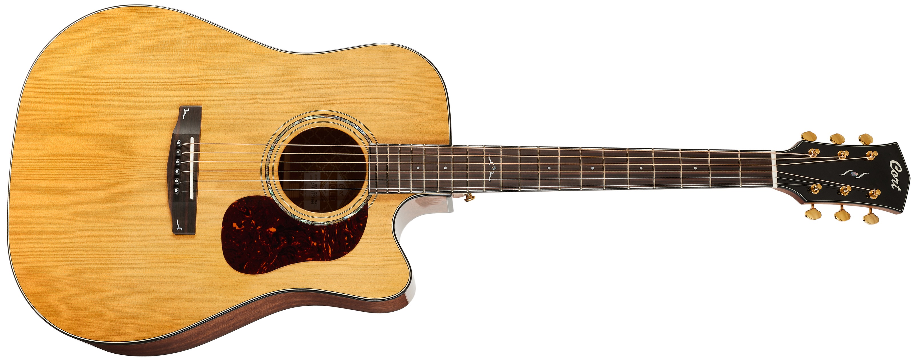 E-shop Cort Gold-DC6 NAT