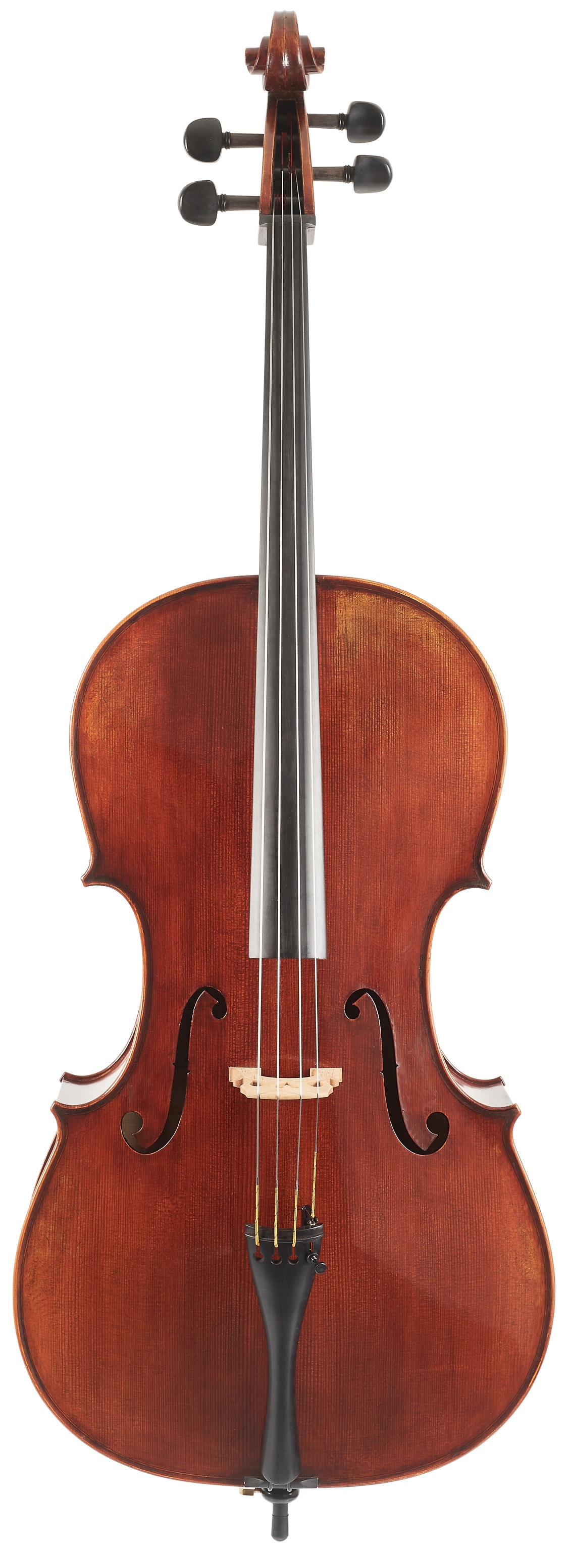 E-shop Eastman Rudoulf Doetsch Cello 4/4 (VC701G )