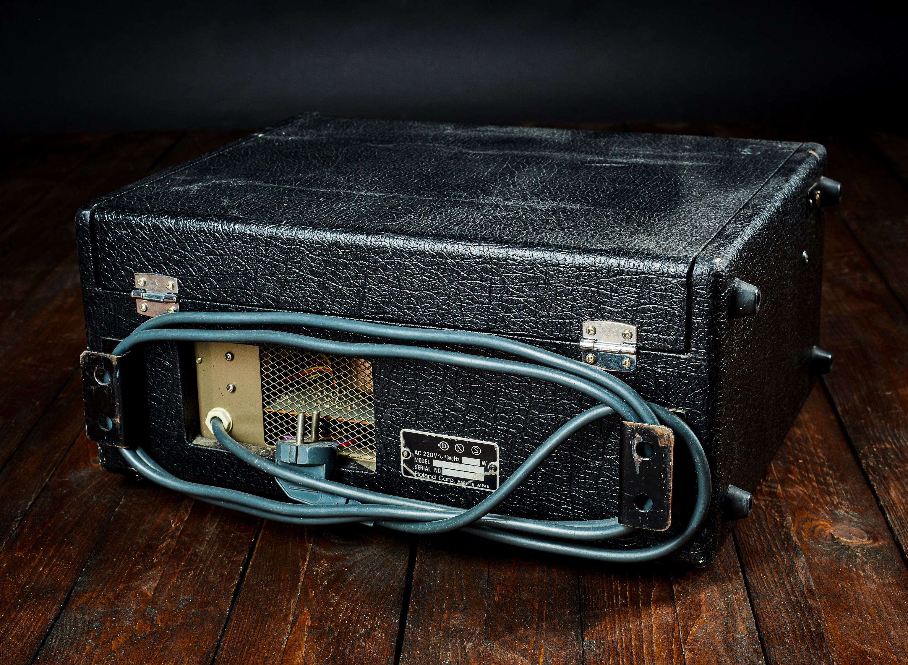 Roland RE 501 Chorus Echo