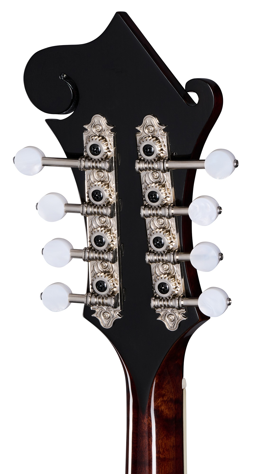 Epiphone F-5G Cremona Sunburst