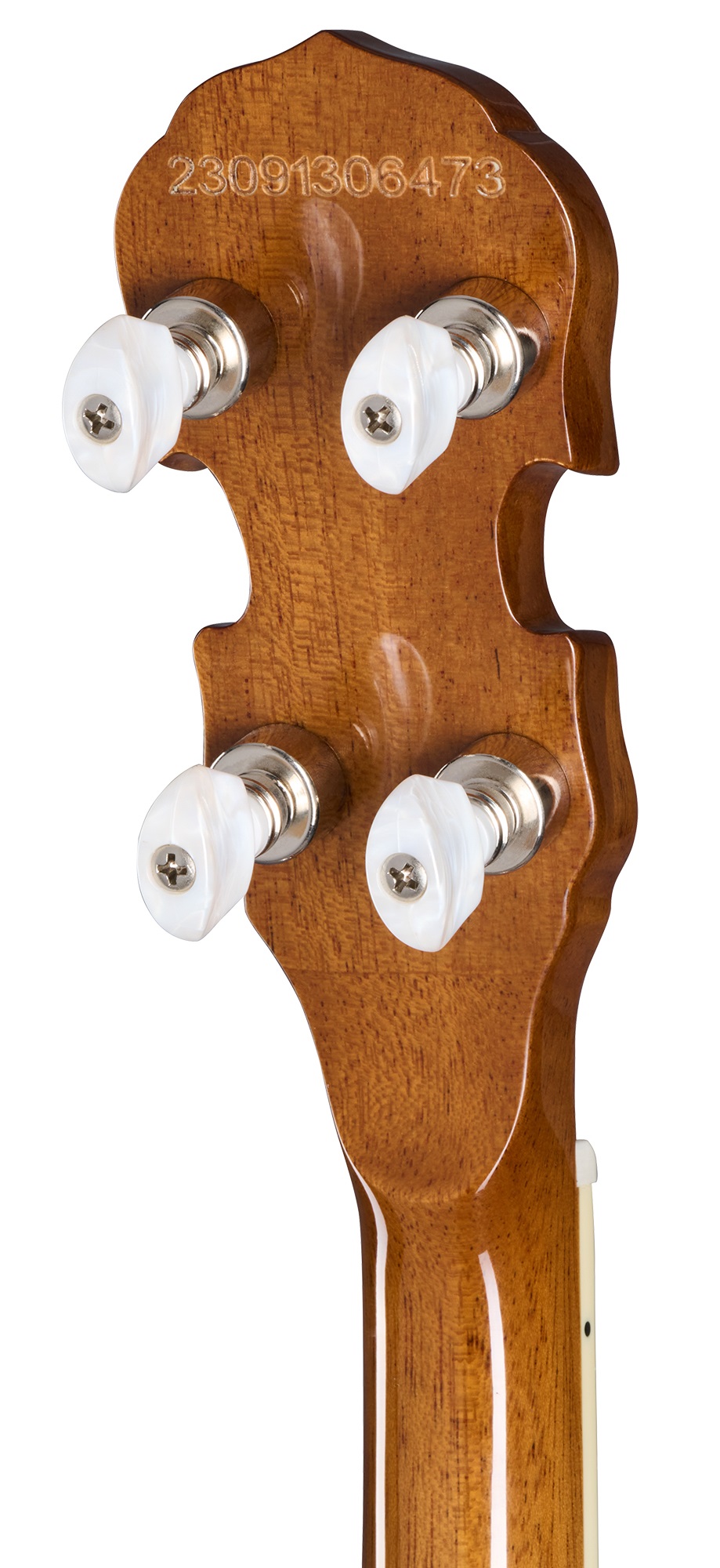 Epiphone Mastertone Classic Banjo Natural