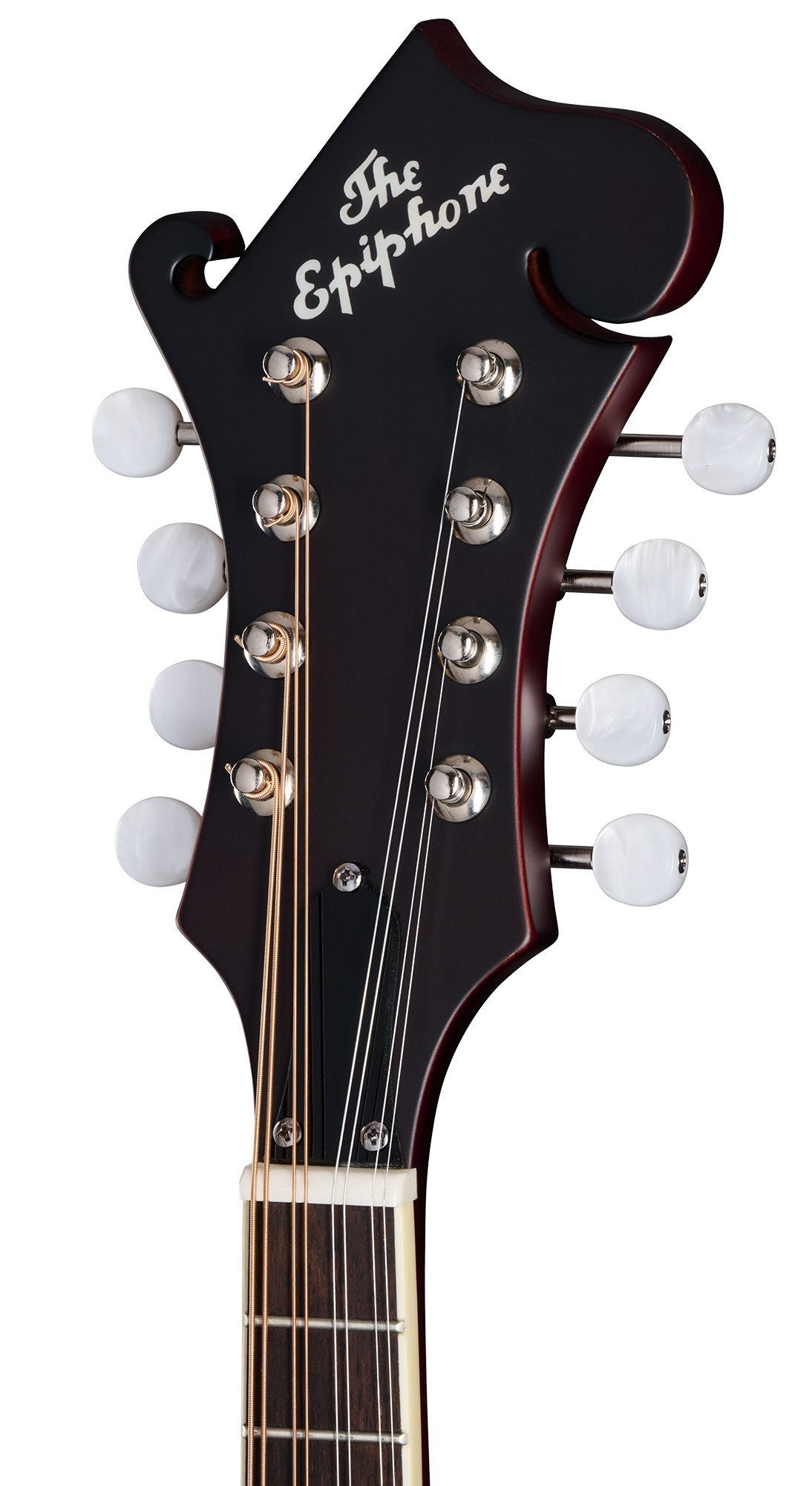 Epiphone F-5 Studio Wine Red Satin