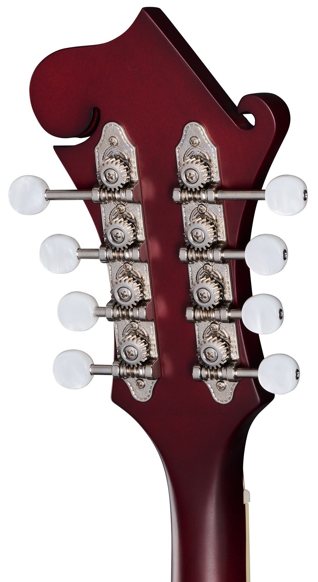 Epiphone F-5 Studio Wine Red Satin