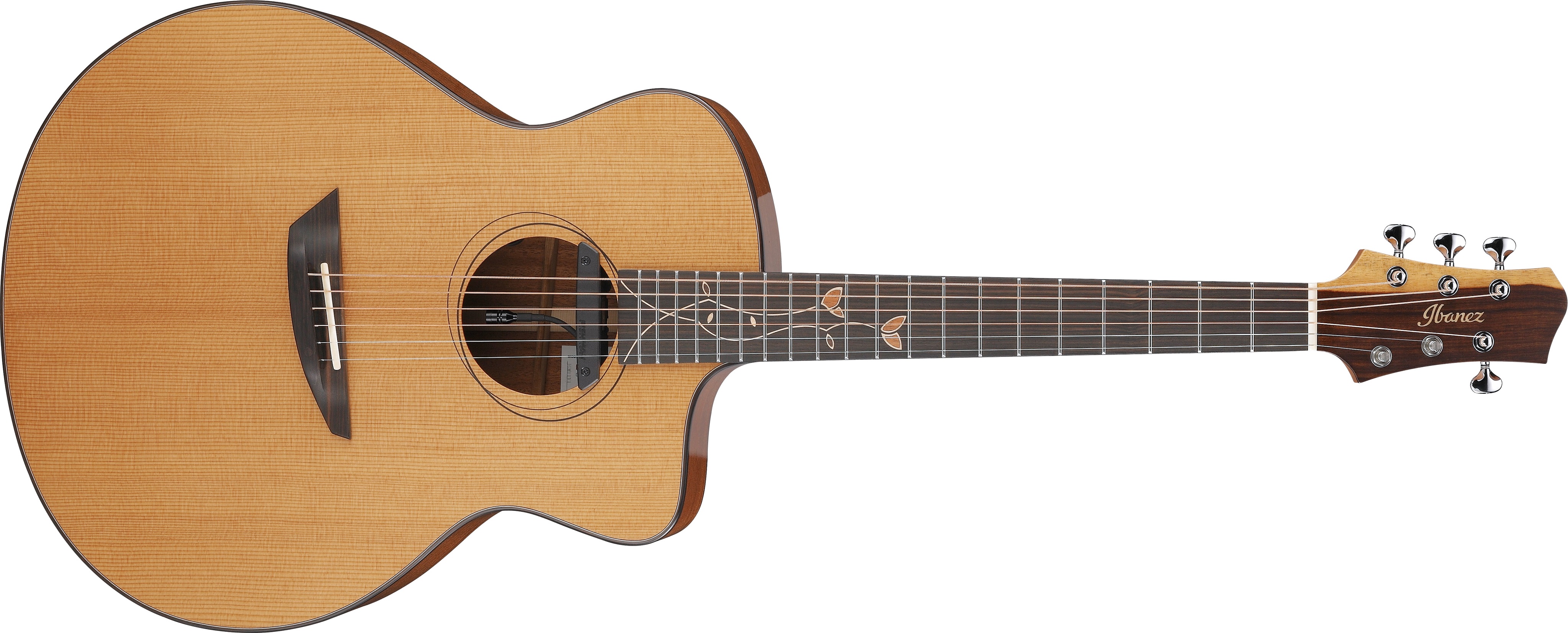 E-shop Ibanez Jon Gomm JGM11