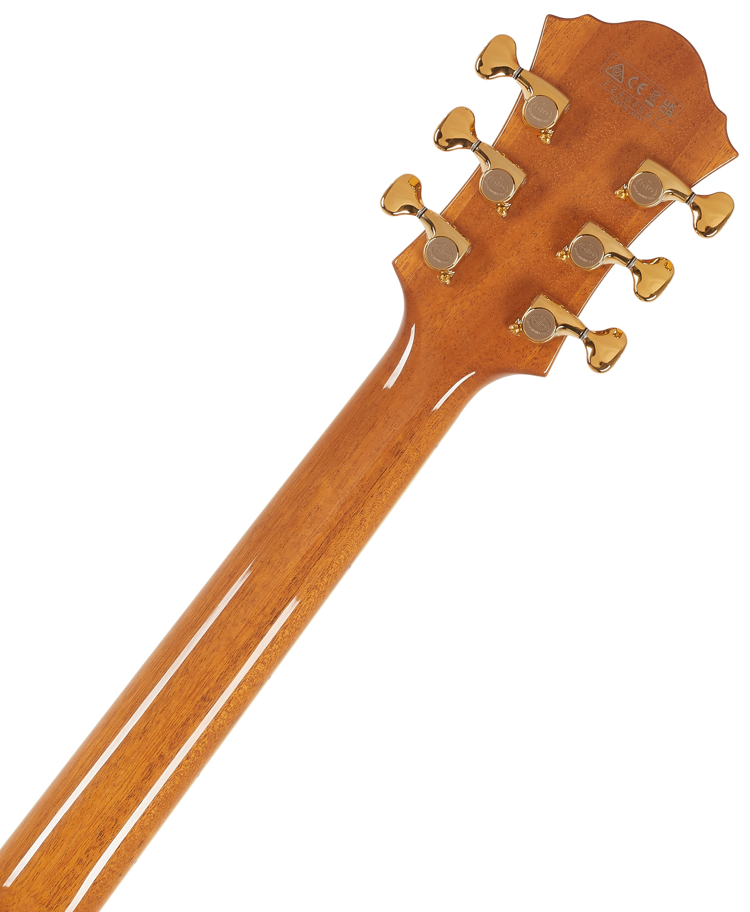 Ibanez PM200 Natural