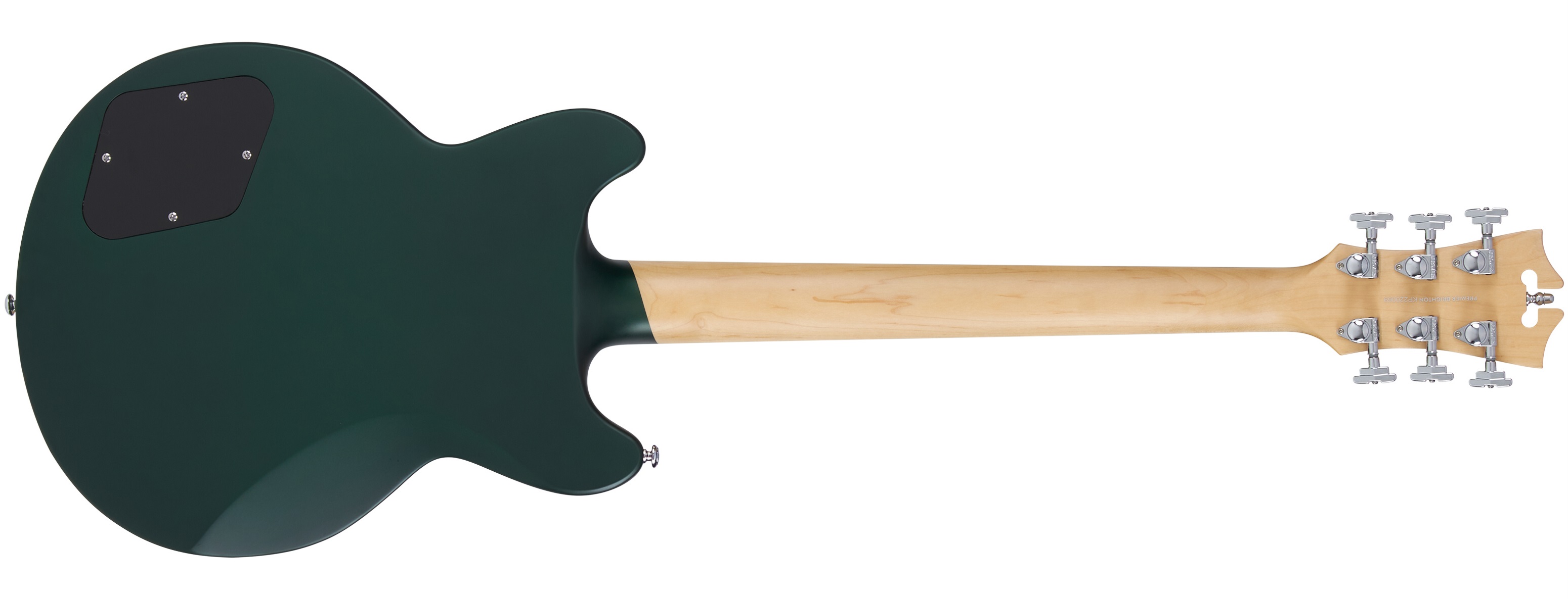 D'Angelico Premier Brighton Sherwood Green