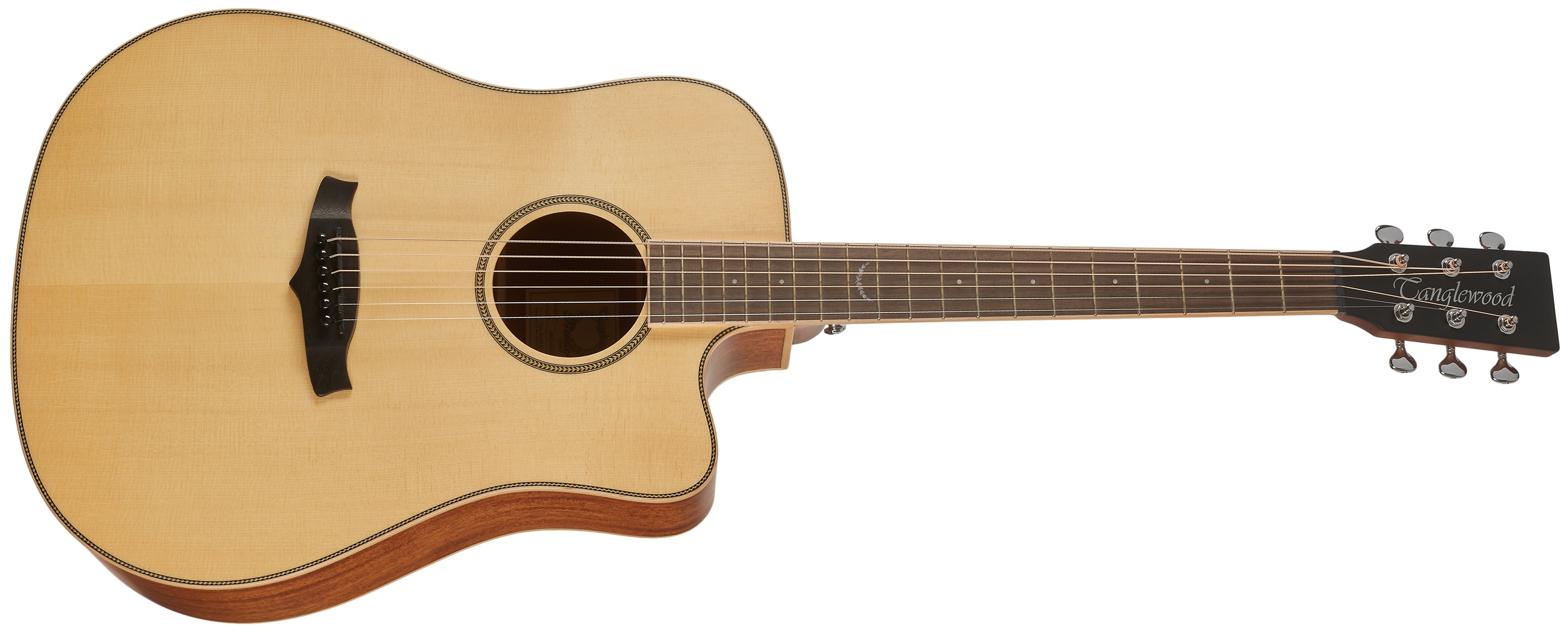 E-shop Tanglewood TP5SE
