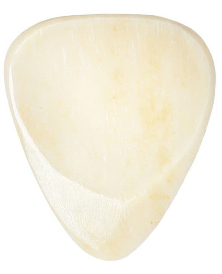 Timber Tones Bone Tones Buffalo Bone