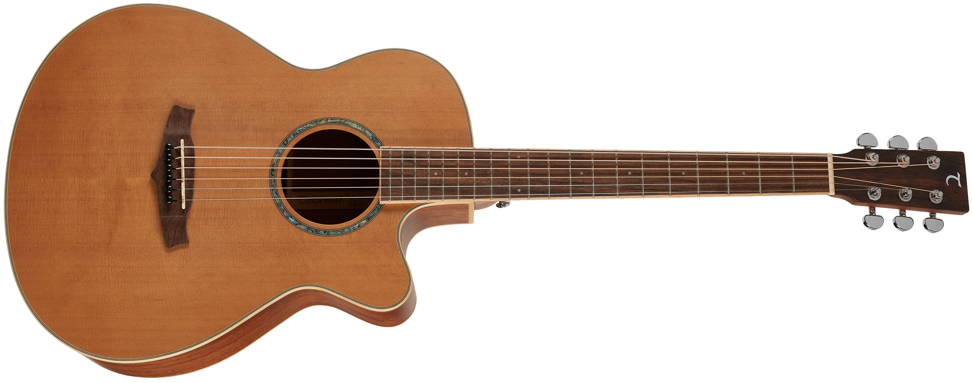 E-shop Tanglewood TSC4 CE