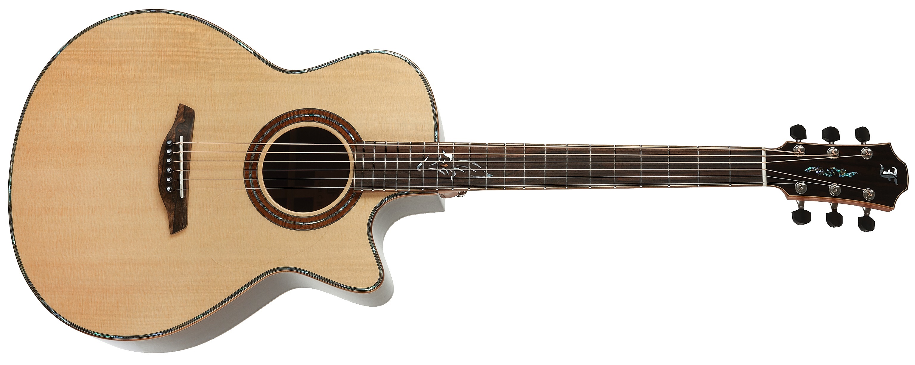E-shop Furch Red Master's Choice Gc-SR CNR Active