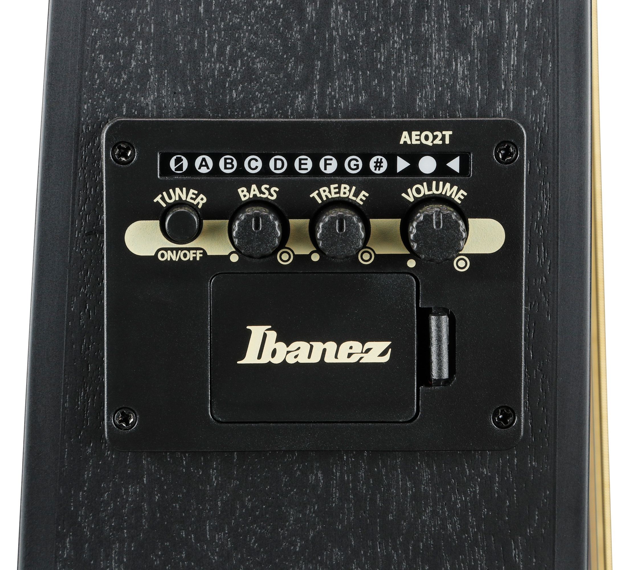 Ibanez TCY621 Black Out – Obrázok 6