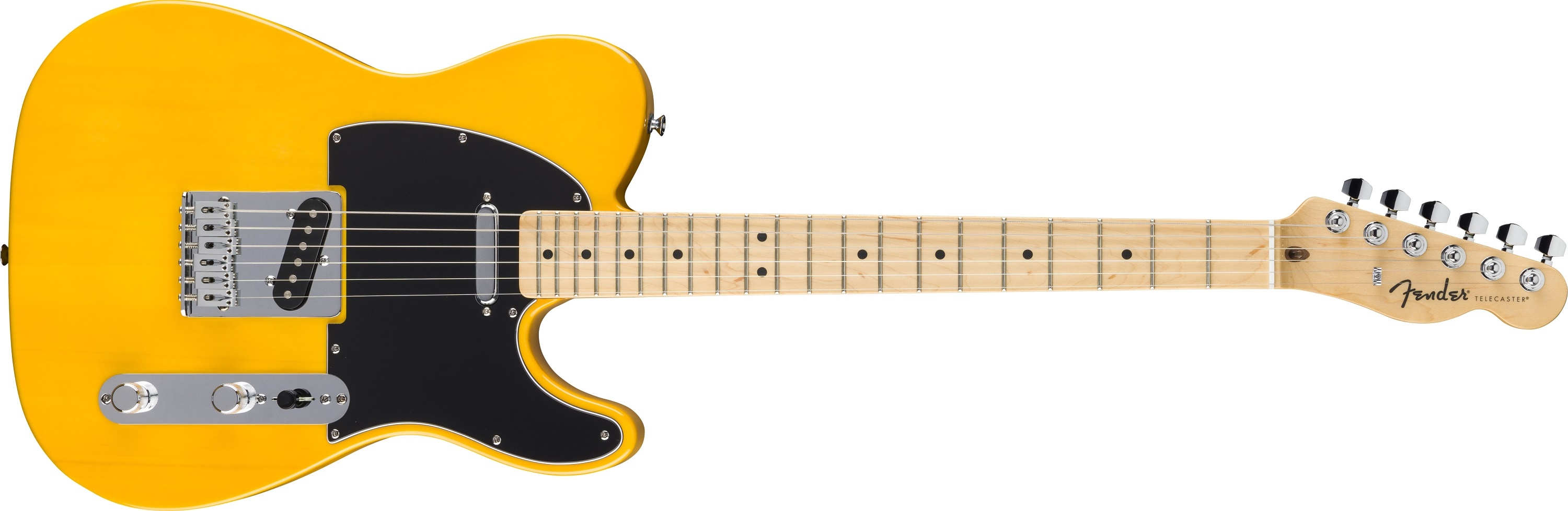 E-shop Fender Standard Telecaster MN BSB