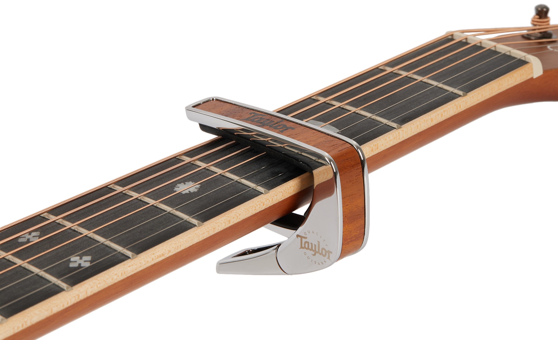 Thalia Taylor Koa Black Logo Chrome