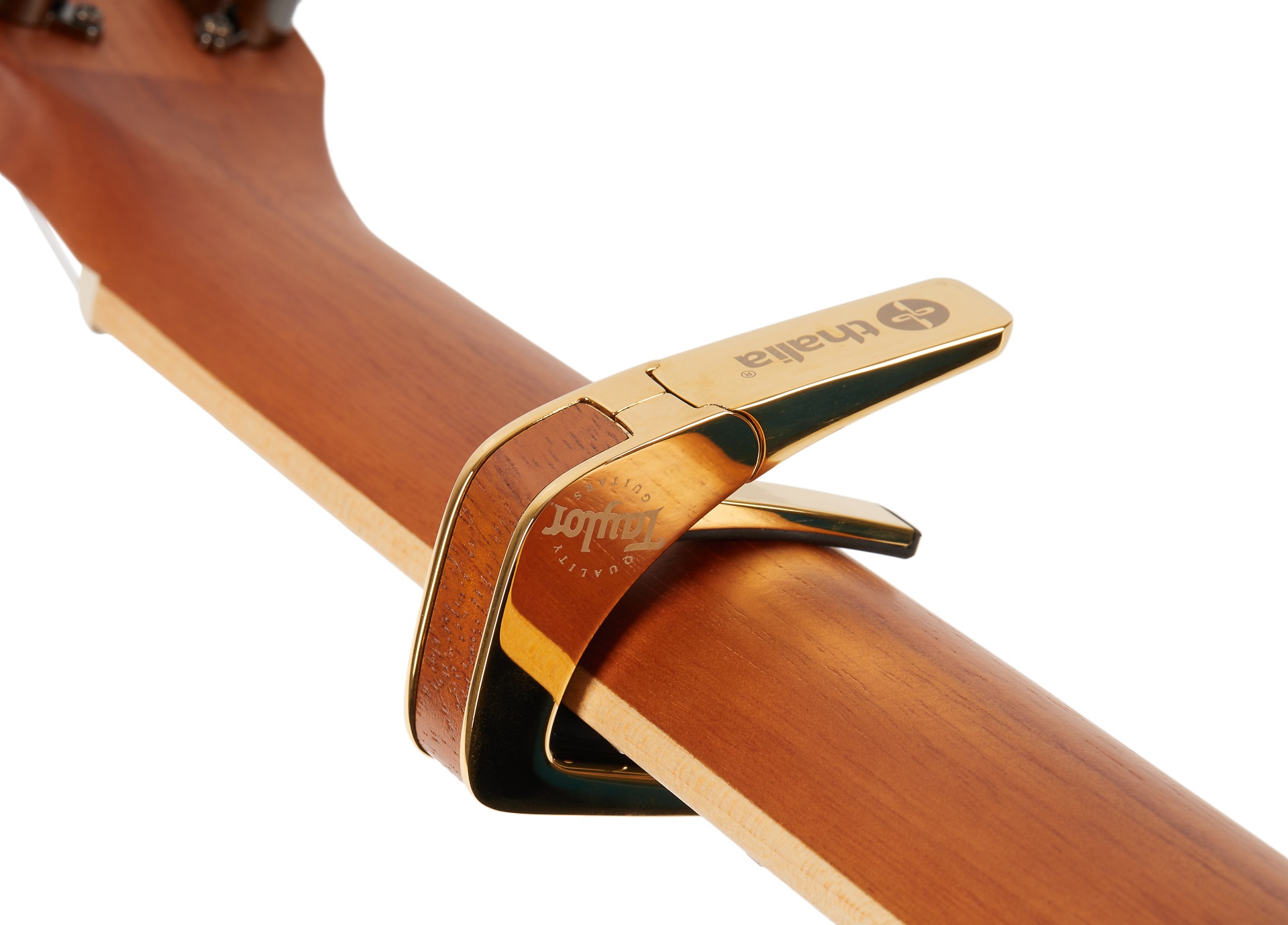 Thalia Taylor Koa Black Logo Gold