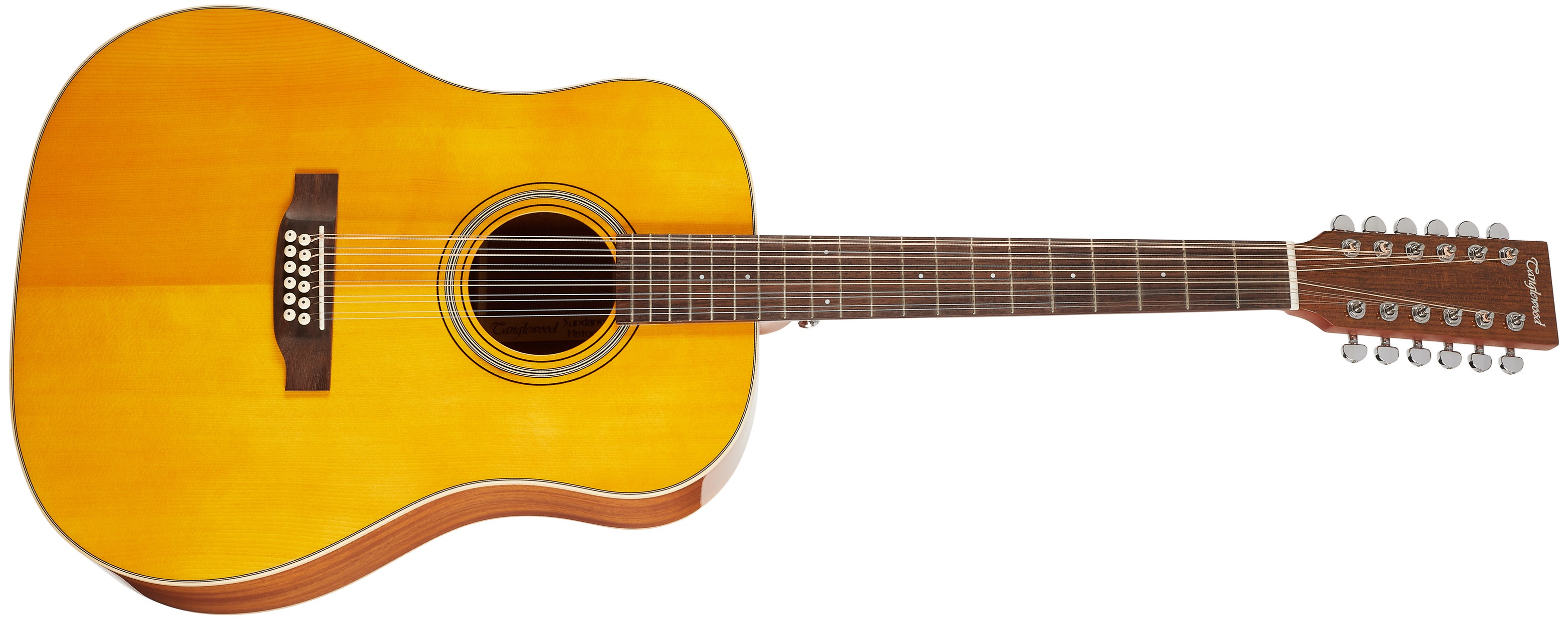 E-shop Tanglewood TW4012SDANE