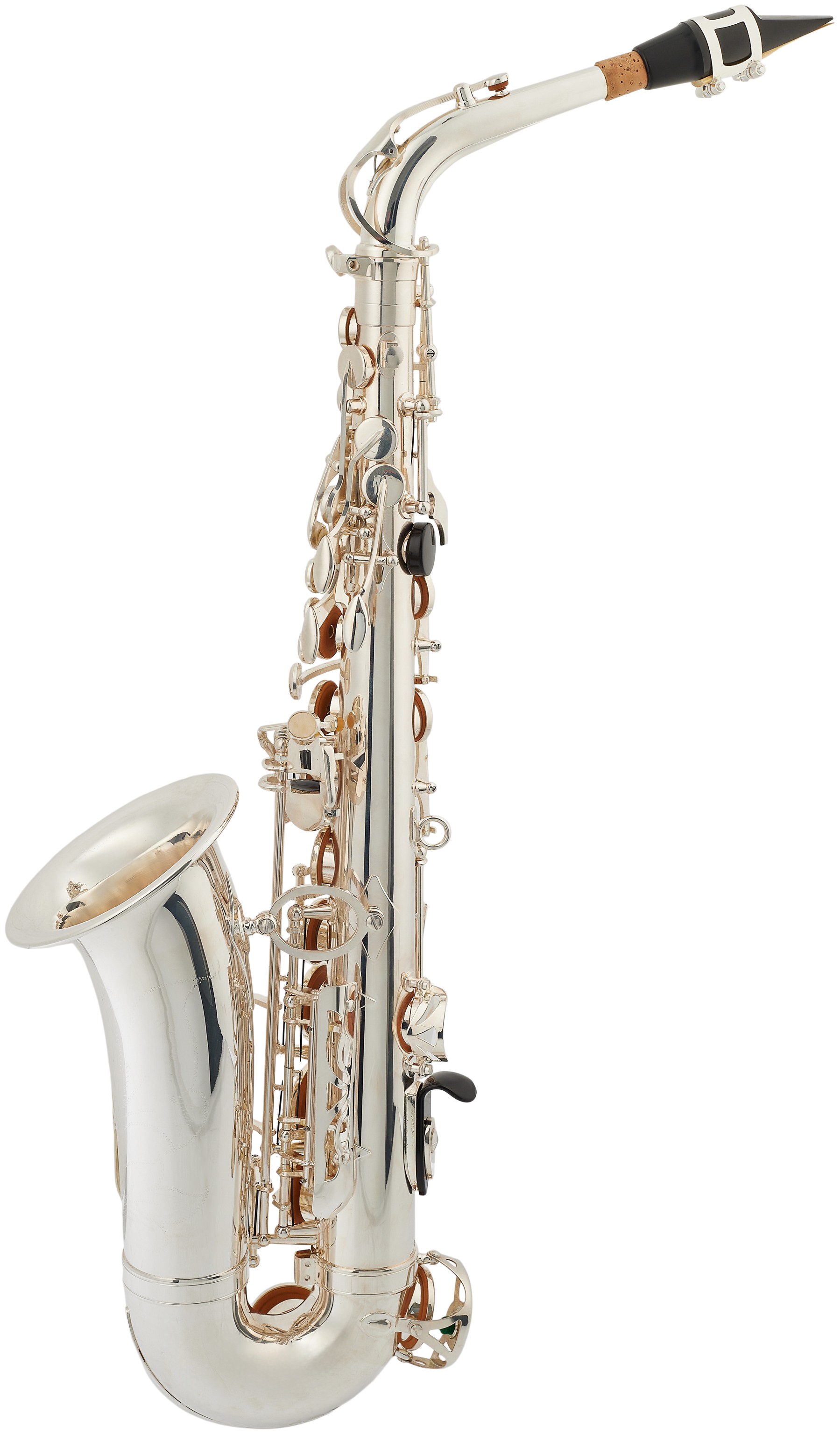 Bacio Instruments BAS-100SG