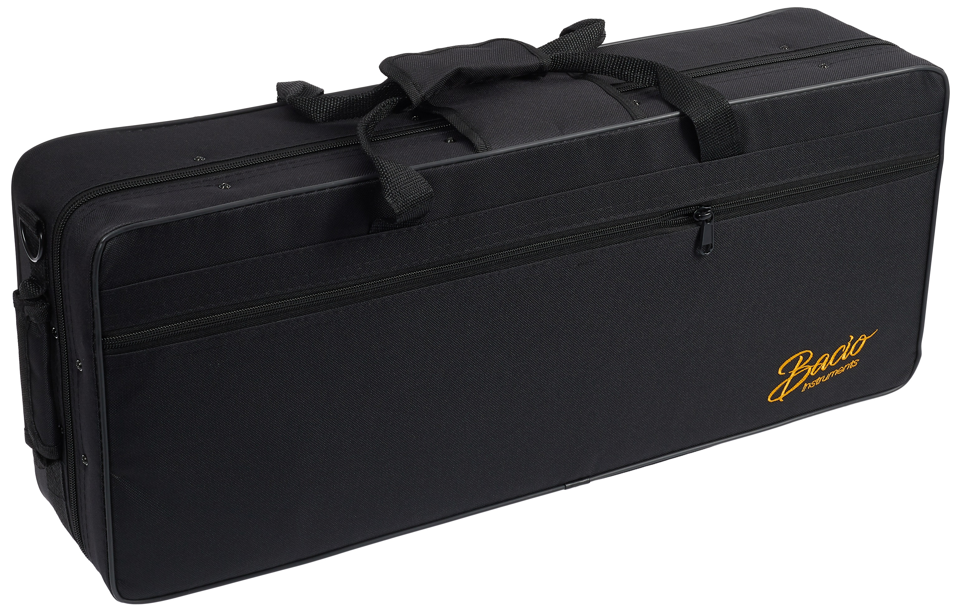 Bacio Instruments BAS-100SG