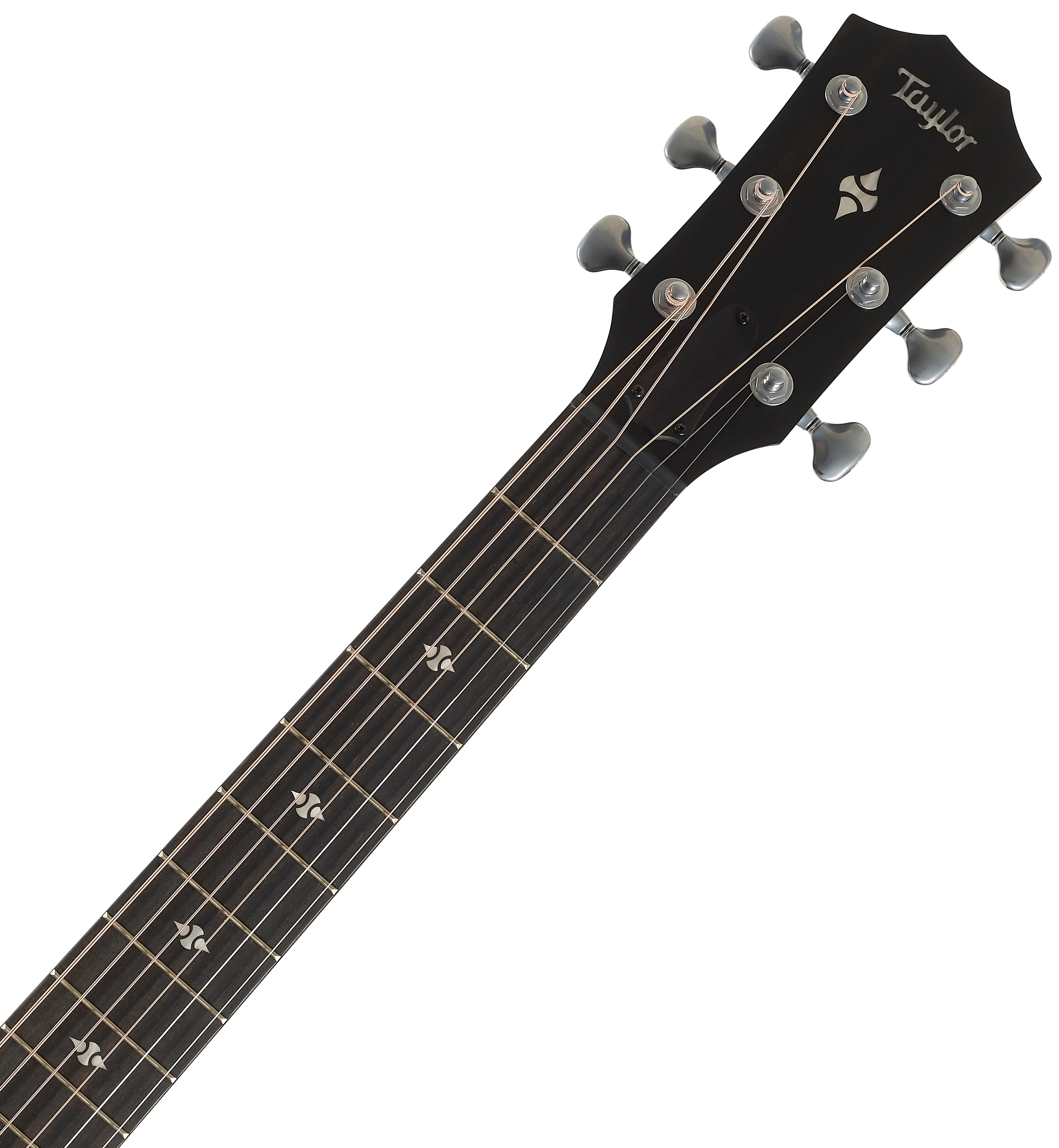 Taylor Builder's Edition 514ce Natural top