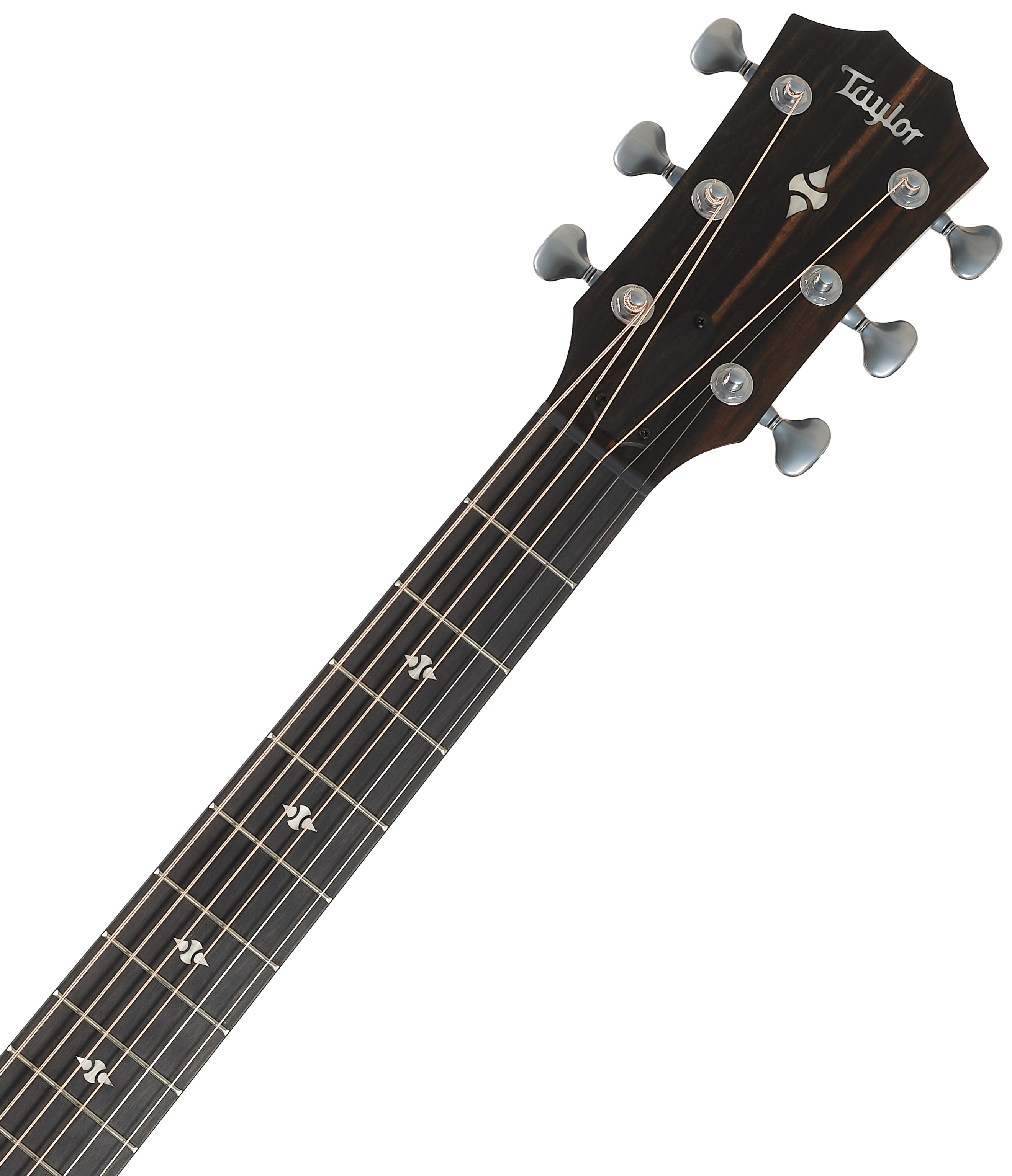 Taylor Builder's Edition 524ce