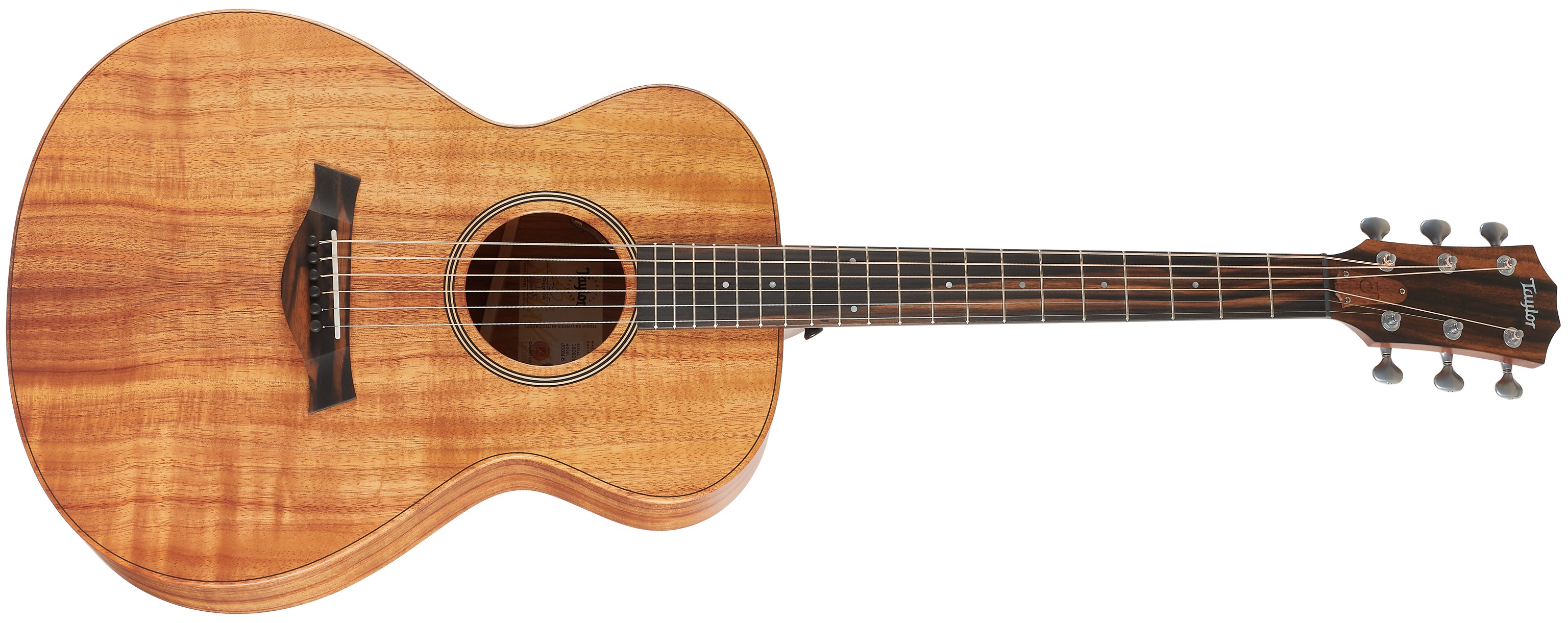 Taylor JCSM-6 Jacob Collier