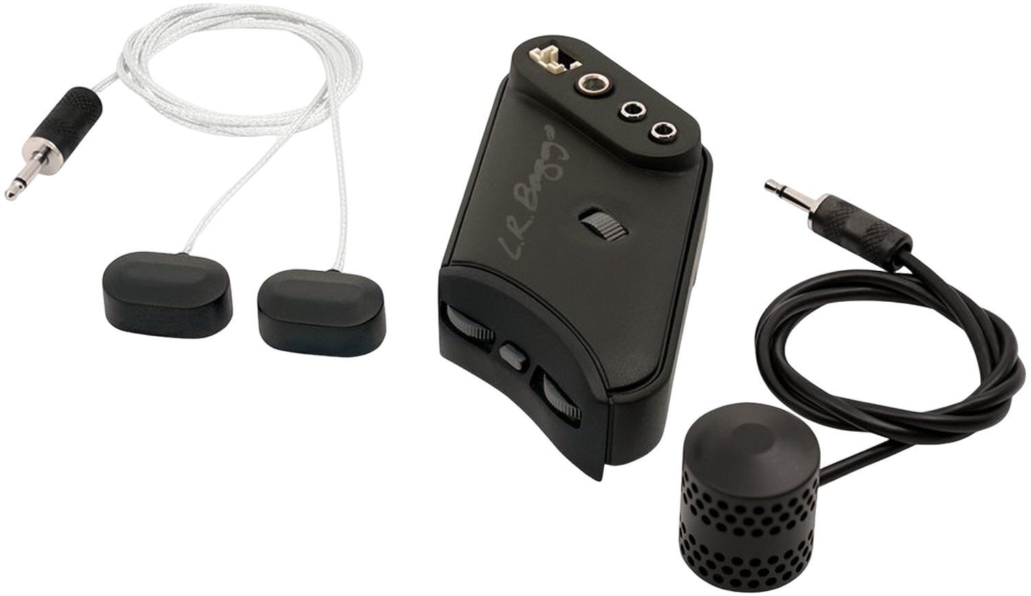 L.R. Baggs HiFi Duet