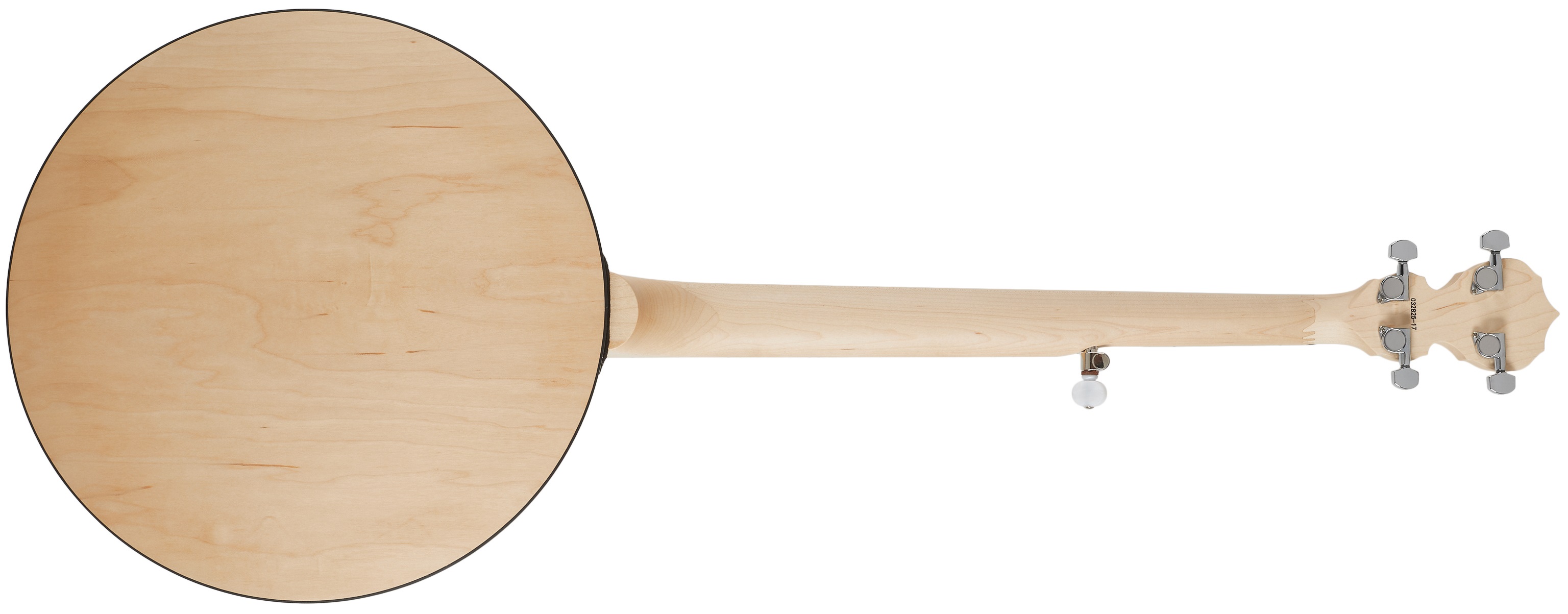 Deering Goodtime Special 5-String with Resonator