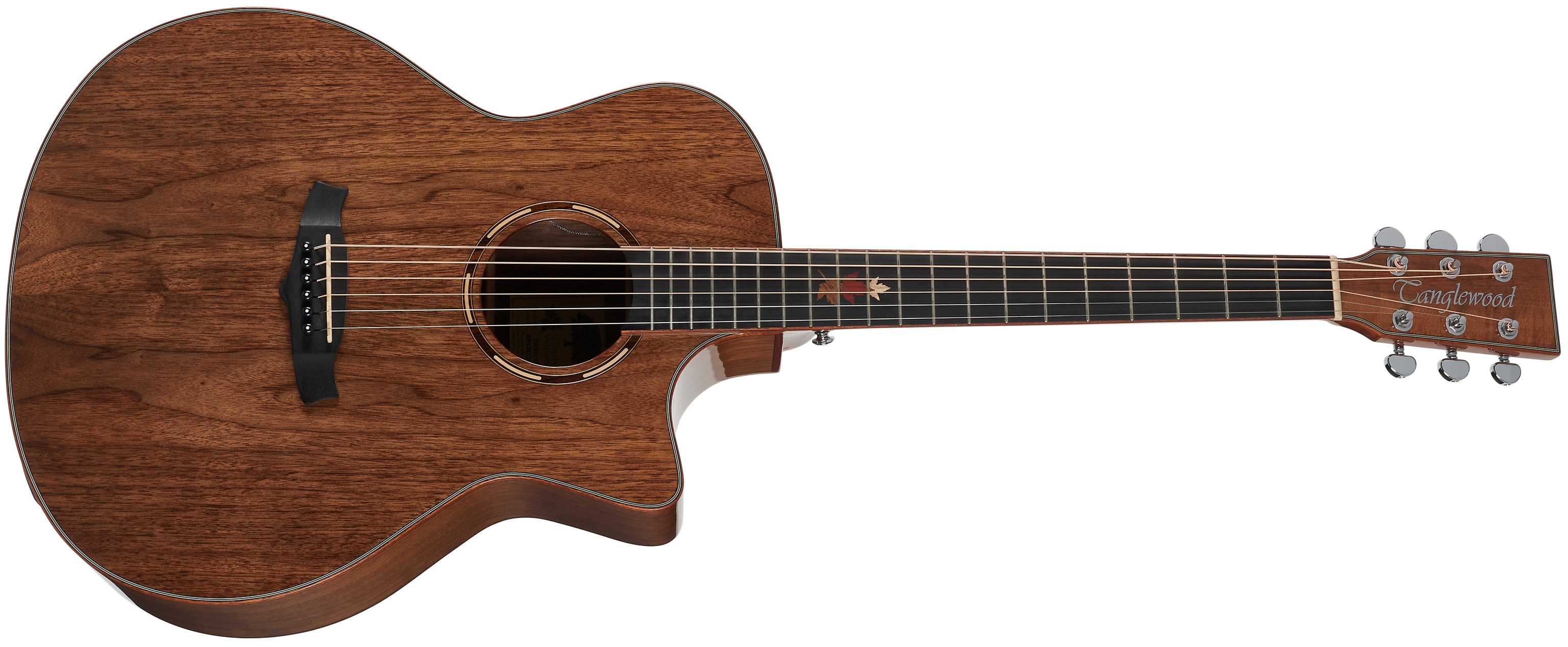 E-shop Tanglewood TWX6CE BW
