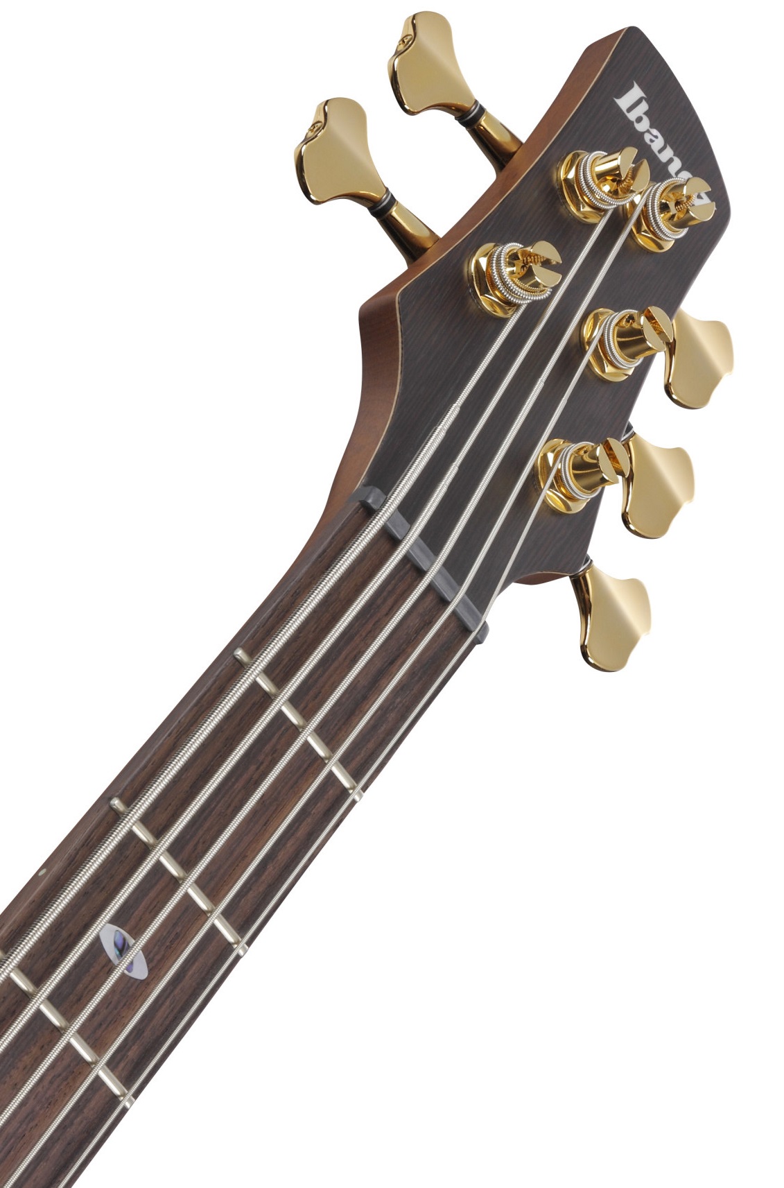 Ibanez SR6605 Ghost Fleet Blue Burst