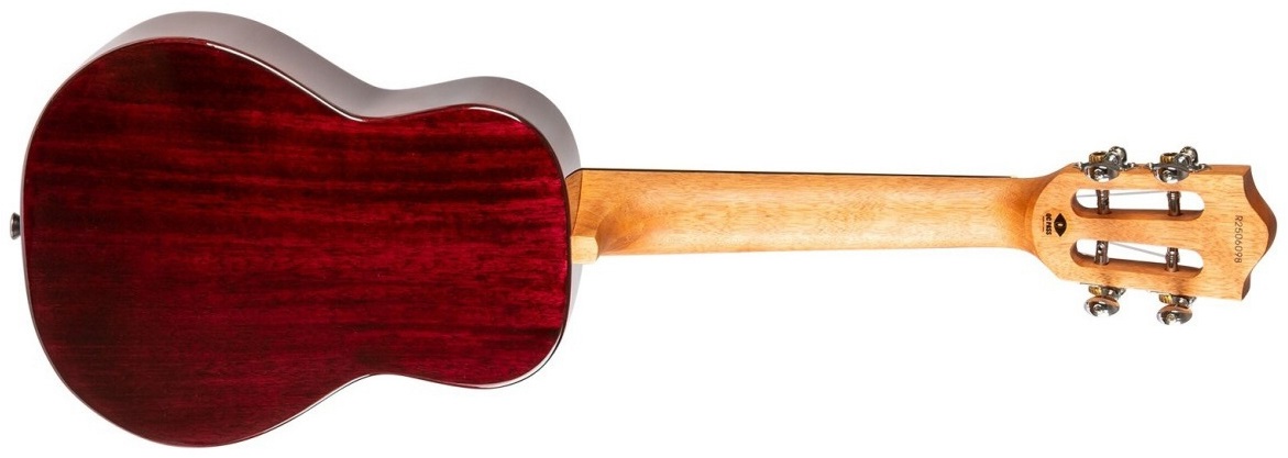 Flight IRIS TINTA CONCERT TPP