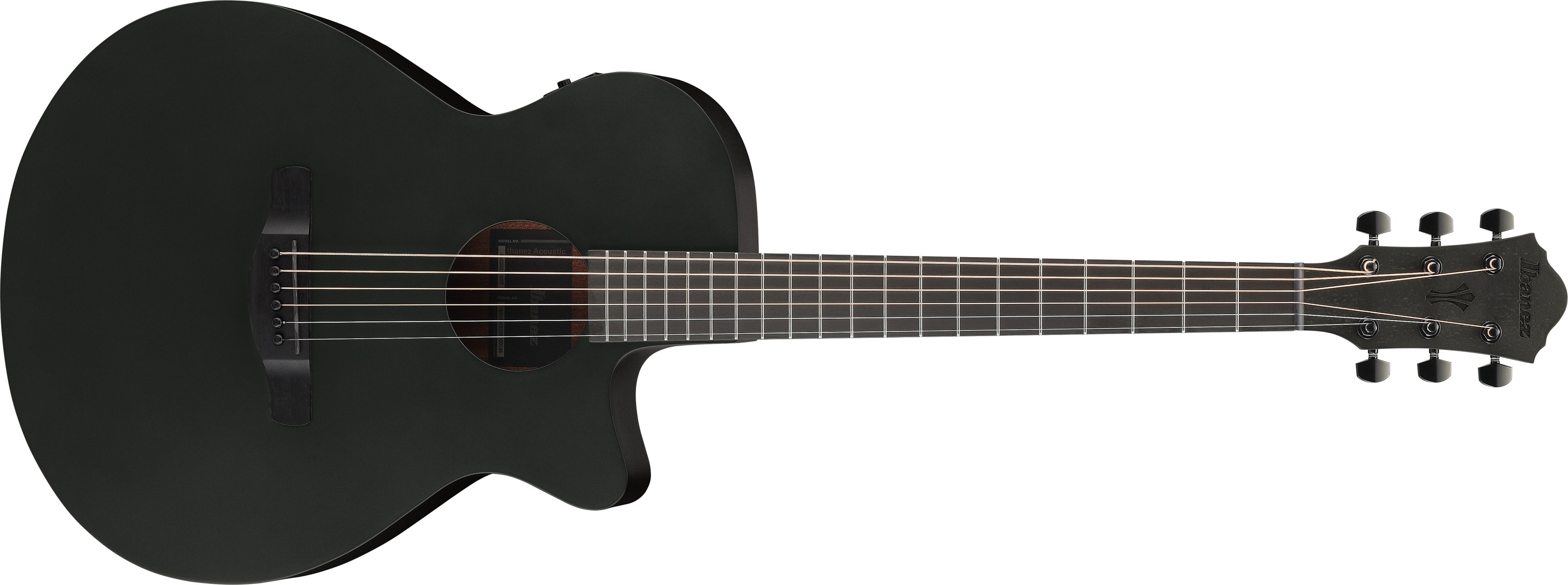 Ibanez AEG1221-BOT