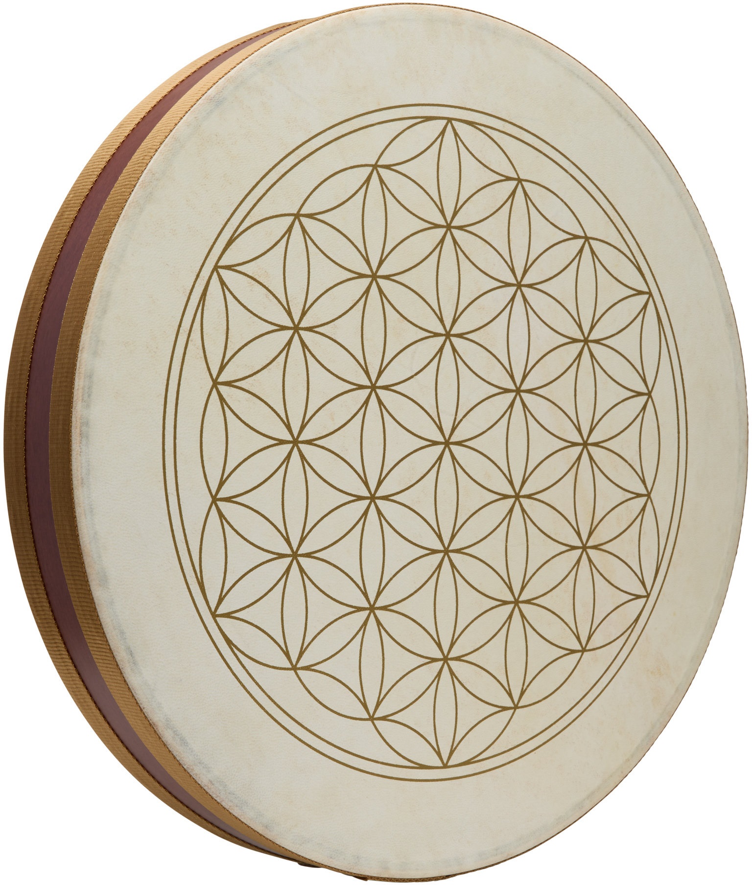 Meinl Sonic Energy WD18FOL