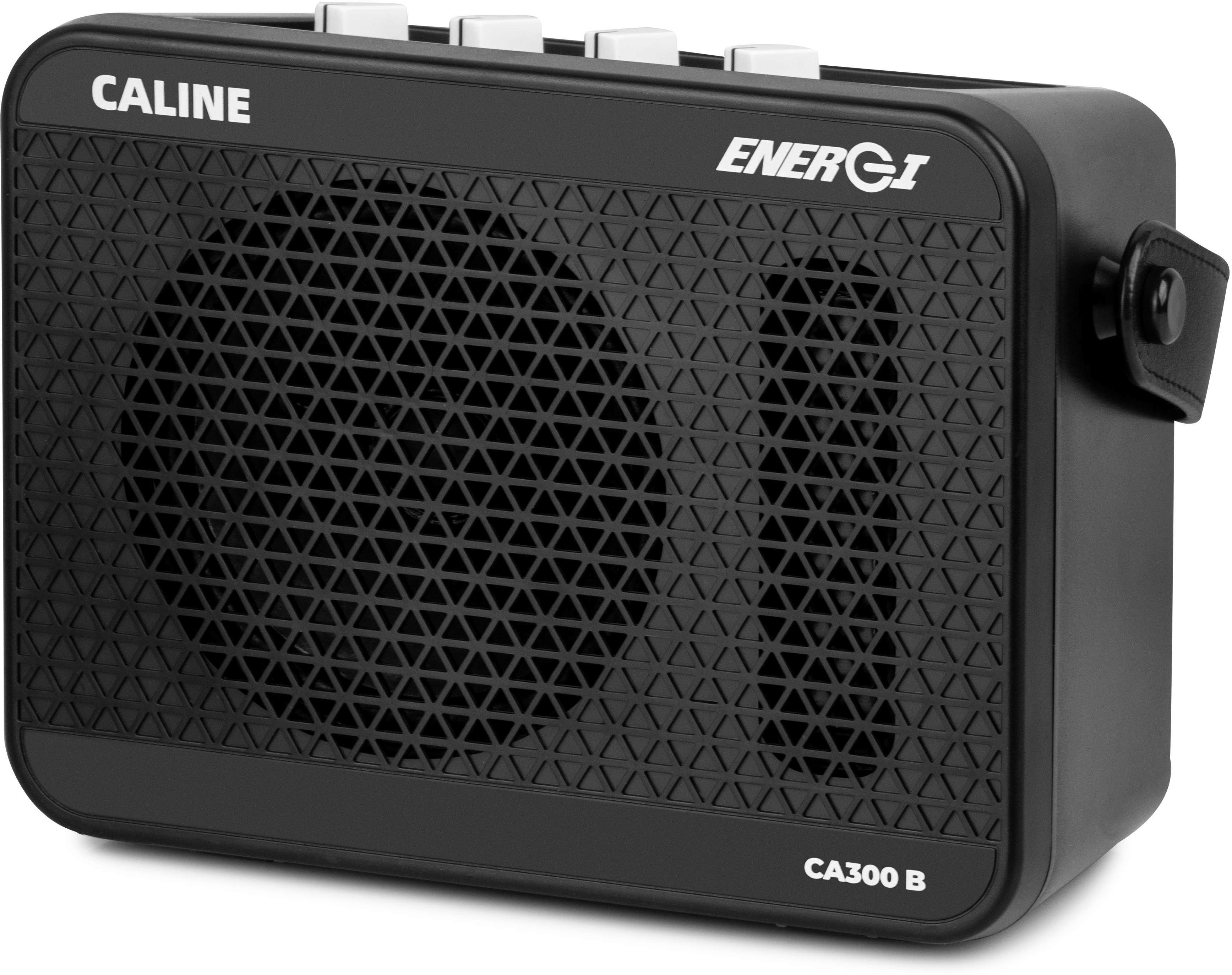 Caline CA-300B