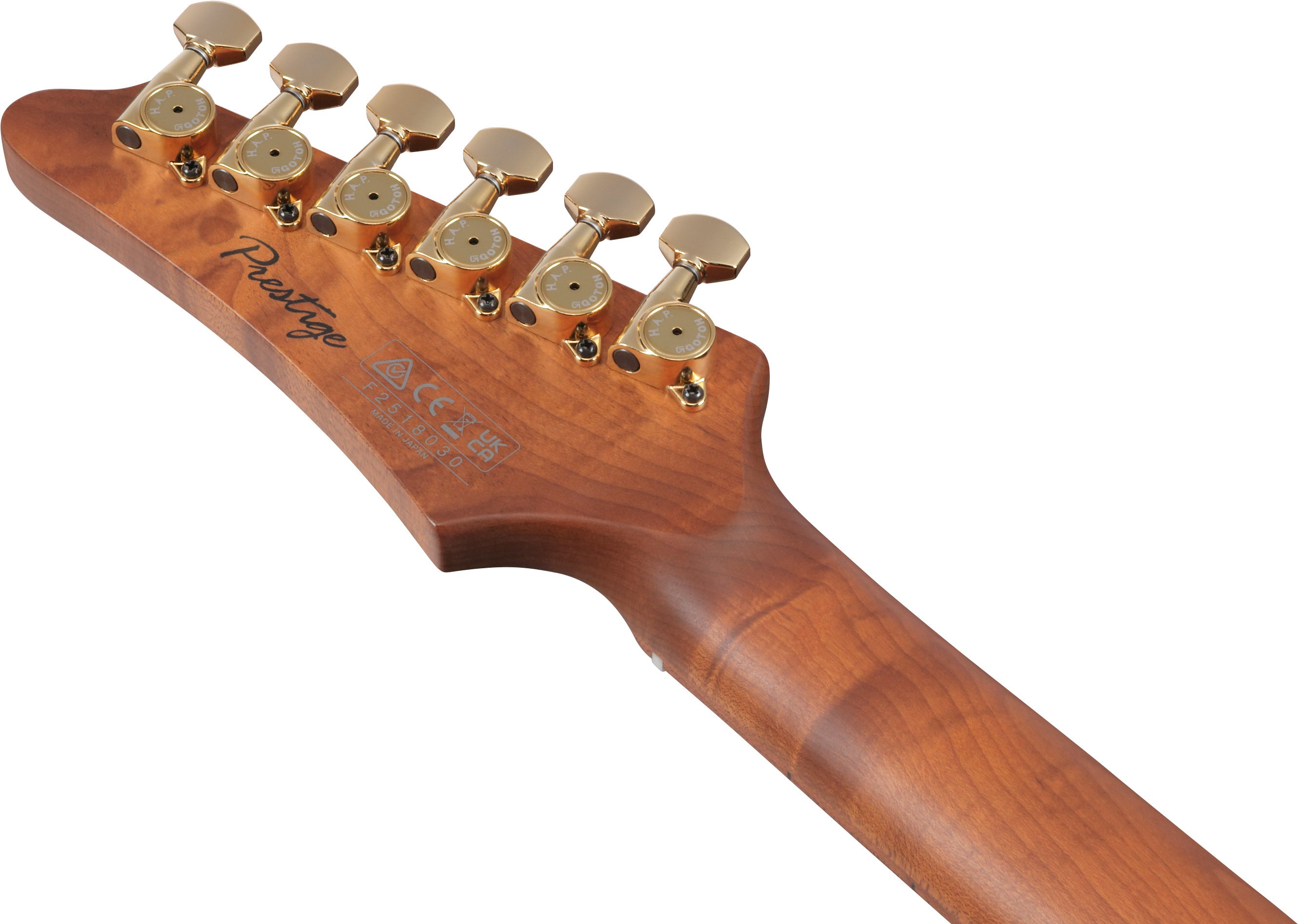 Ibanez AZ2204AG-TGB