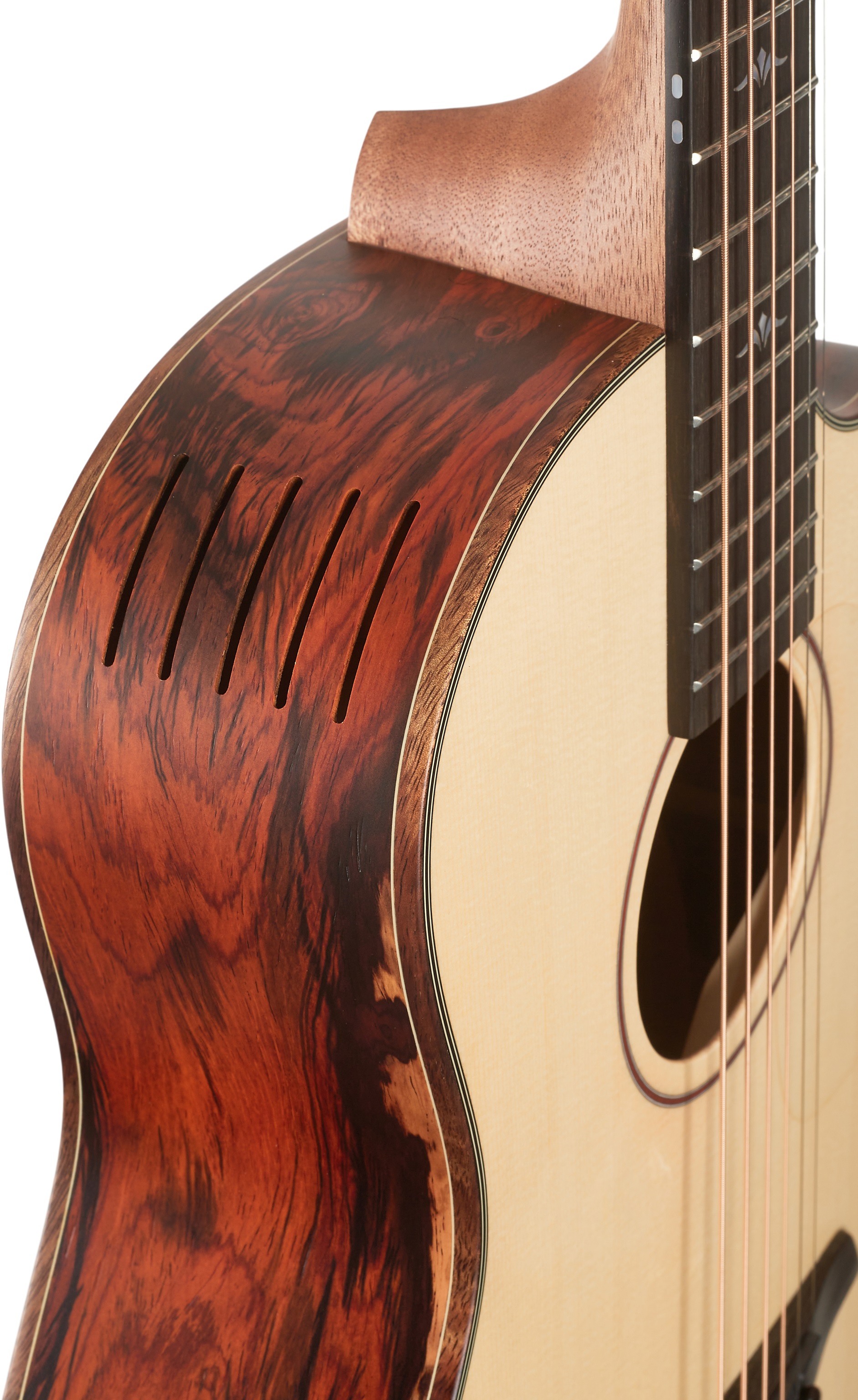 Furch Pioneer Exclusive EC CNR Active