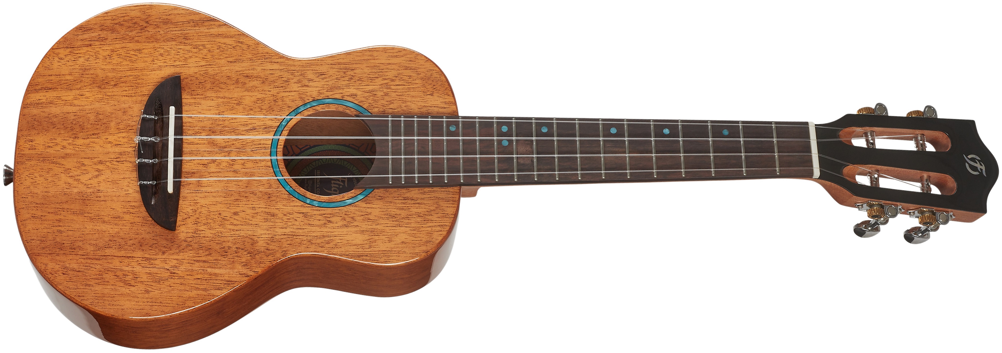 Flight IRIS TINTA CONCERT NA