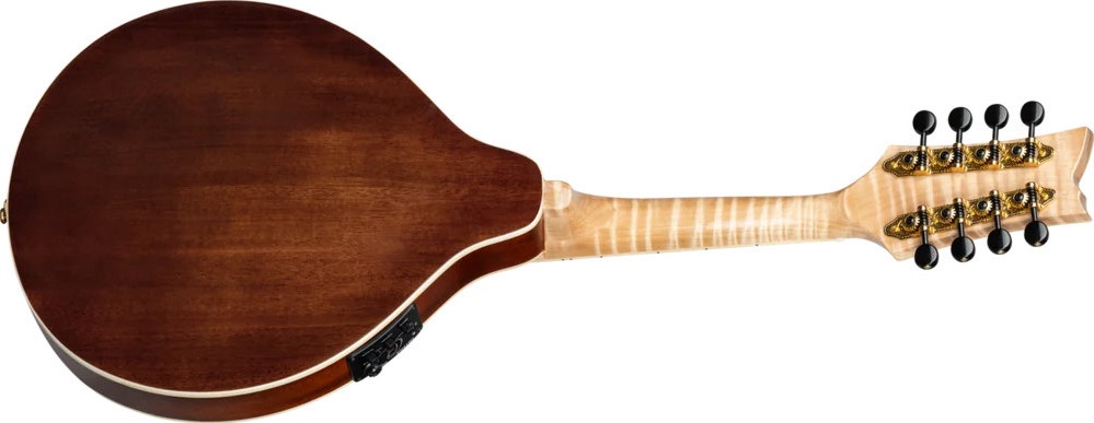 Ortega RMAE200PF