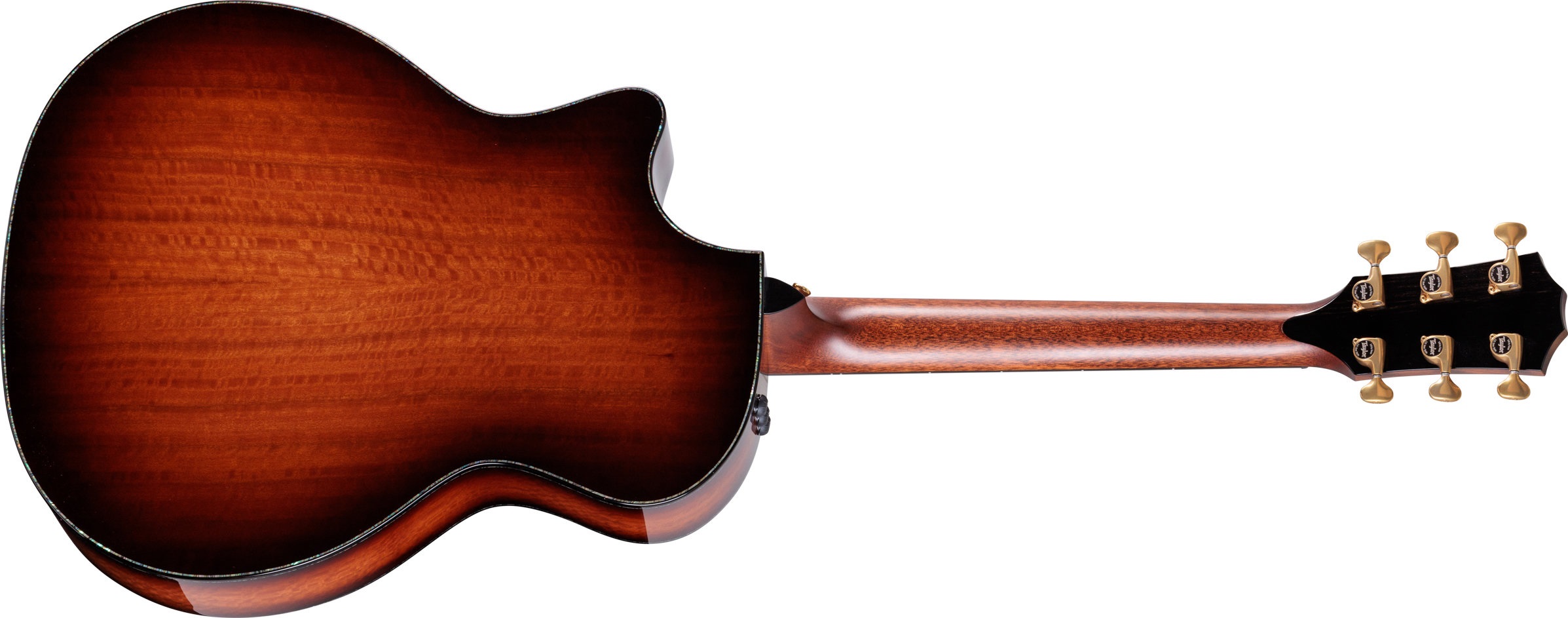 Taylor PS14ce Figured Urban Ironbark / Redwood