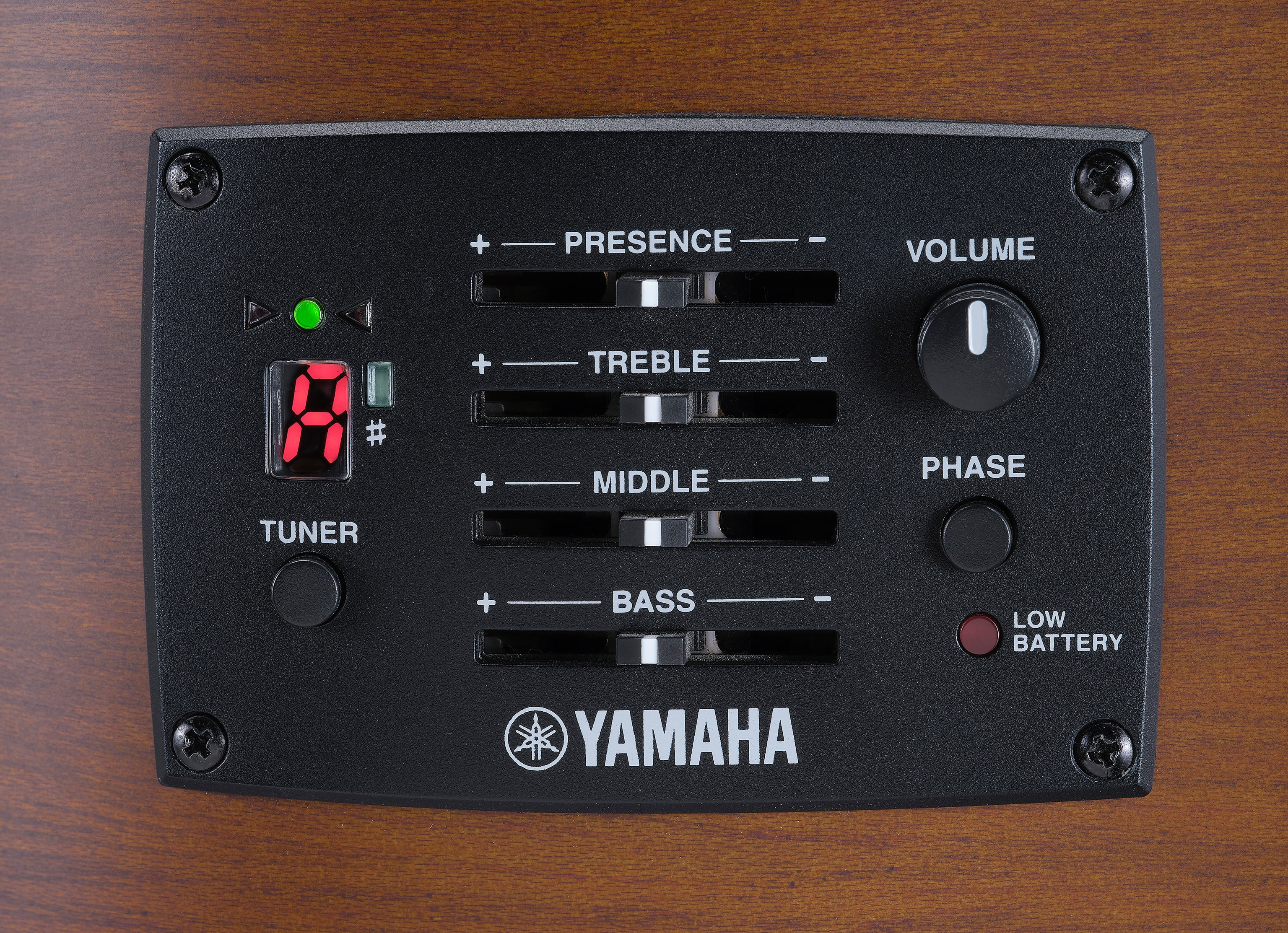 Yamaha FX400 Natural