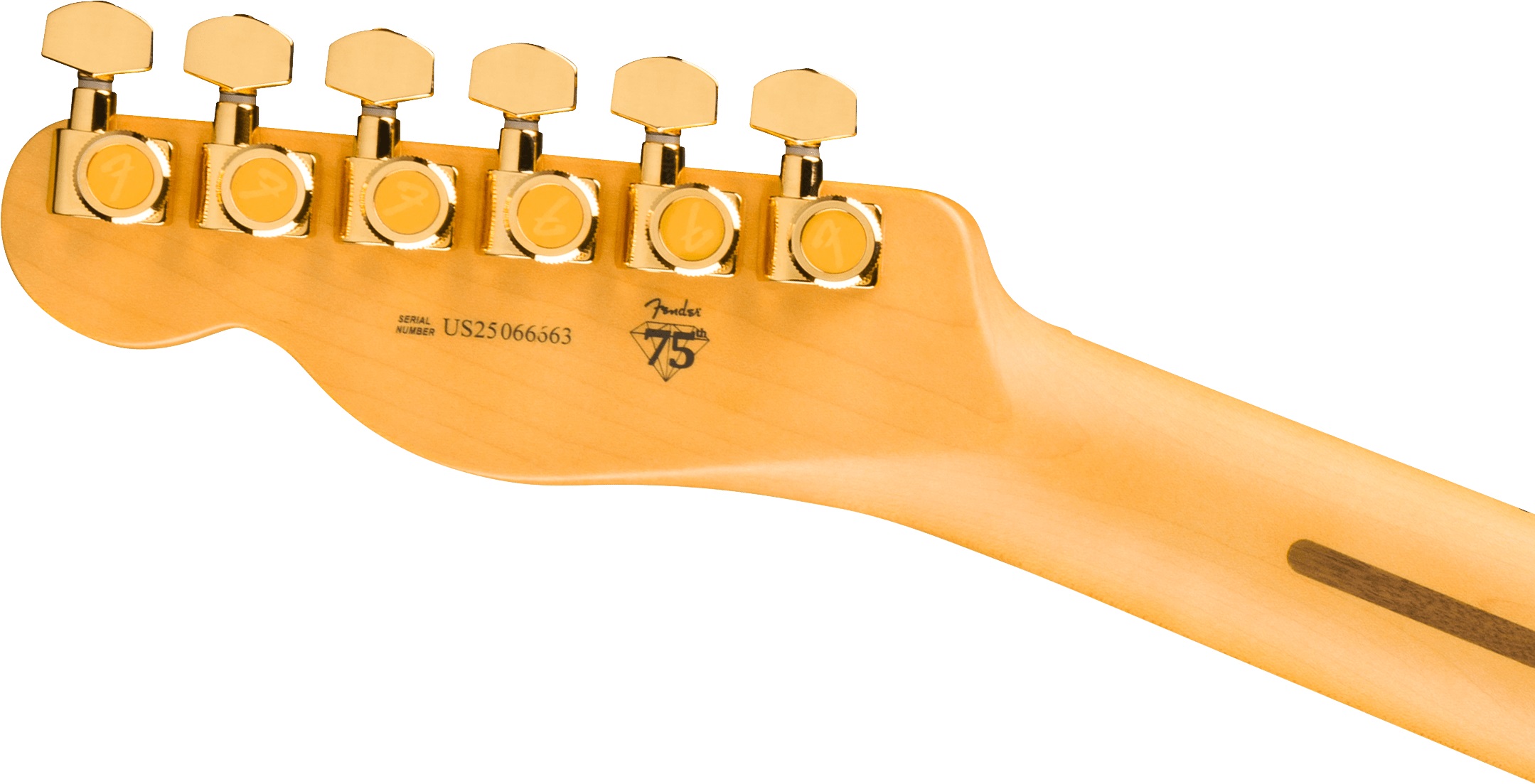 Fender 75th Anniversary American Professional Custom Telecaster MN 2CS