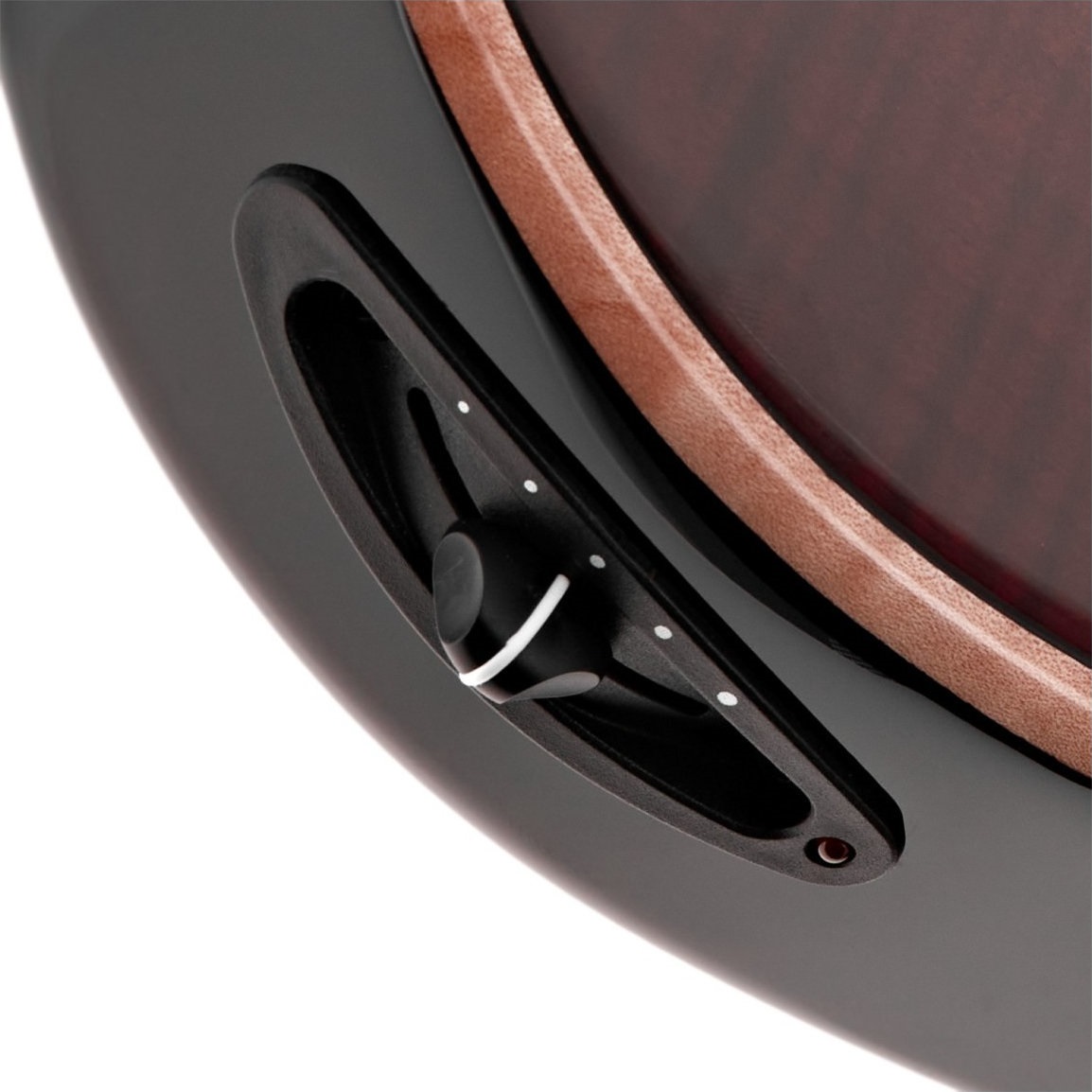 Taylor T5z Pro Grapevine