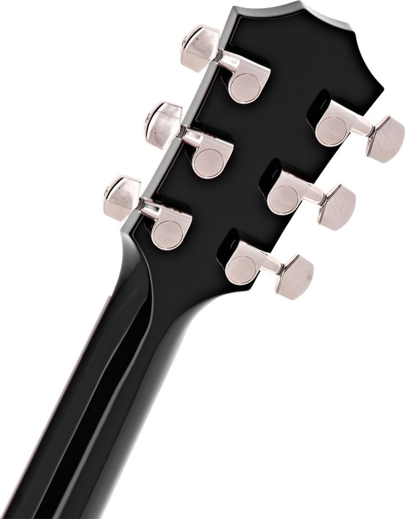 Taylor T5z Pro Grapevine
