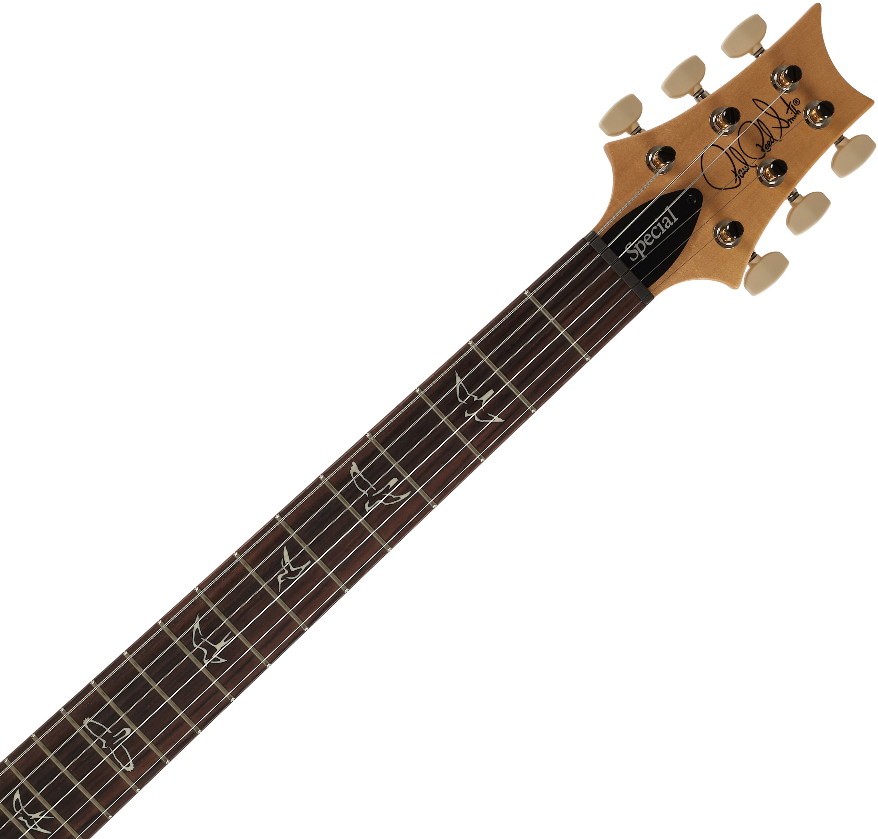 PRS Swamp Ash Special White Doghair Smokeburst