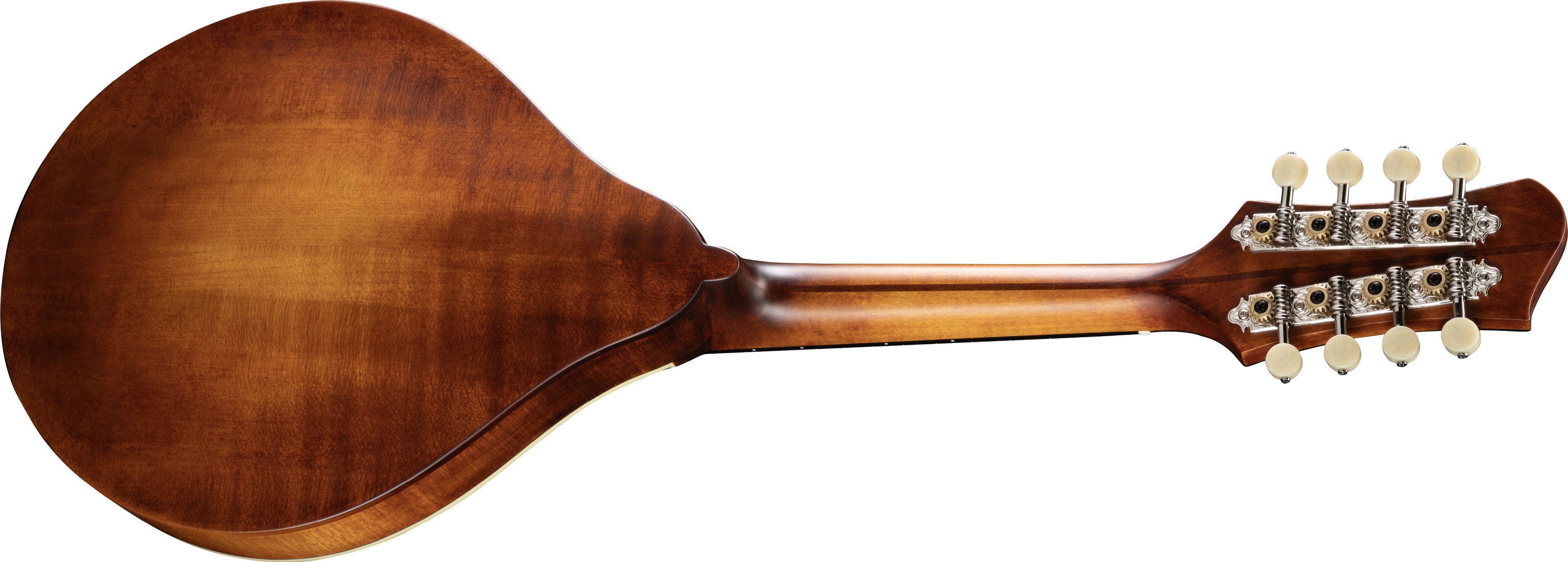 Eastman MD305-A-WN-AB