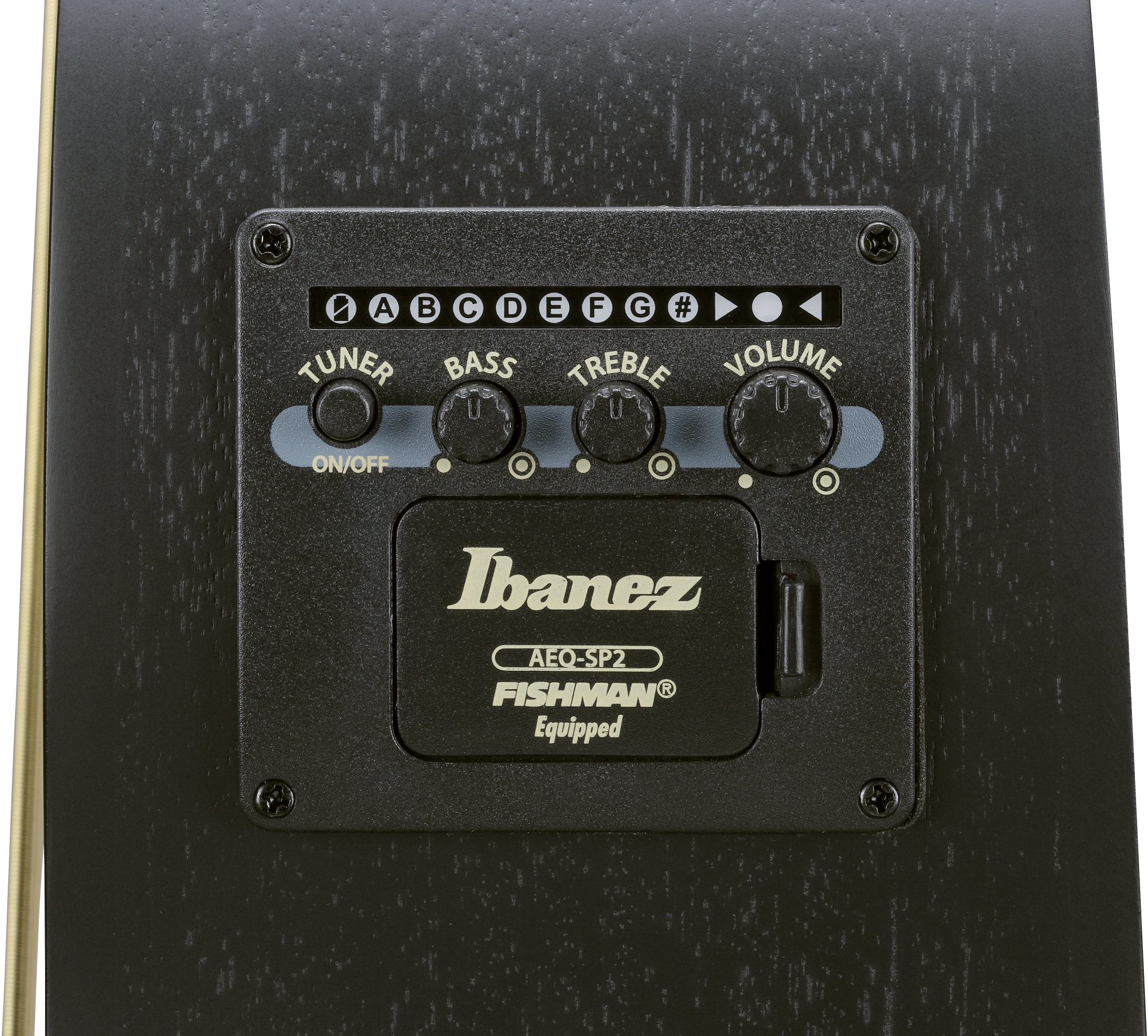 Ibanez AEWC621L BOT
