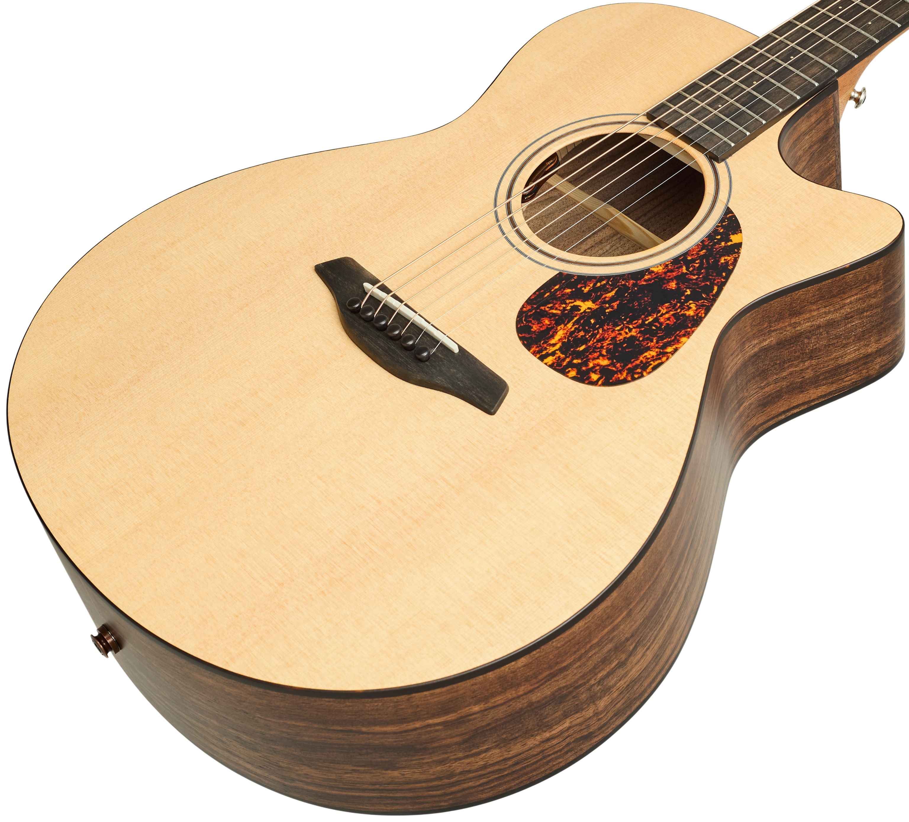 Furch Blue Gc-SW L.R. Baggs EAS-VTC CNR Active
