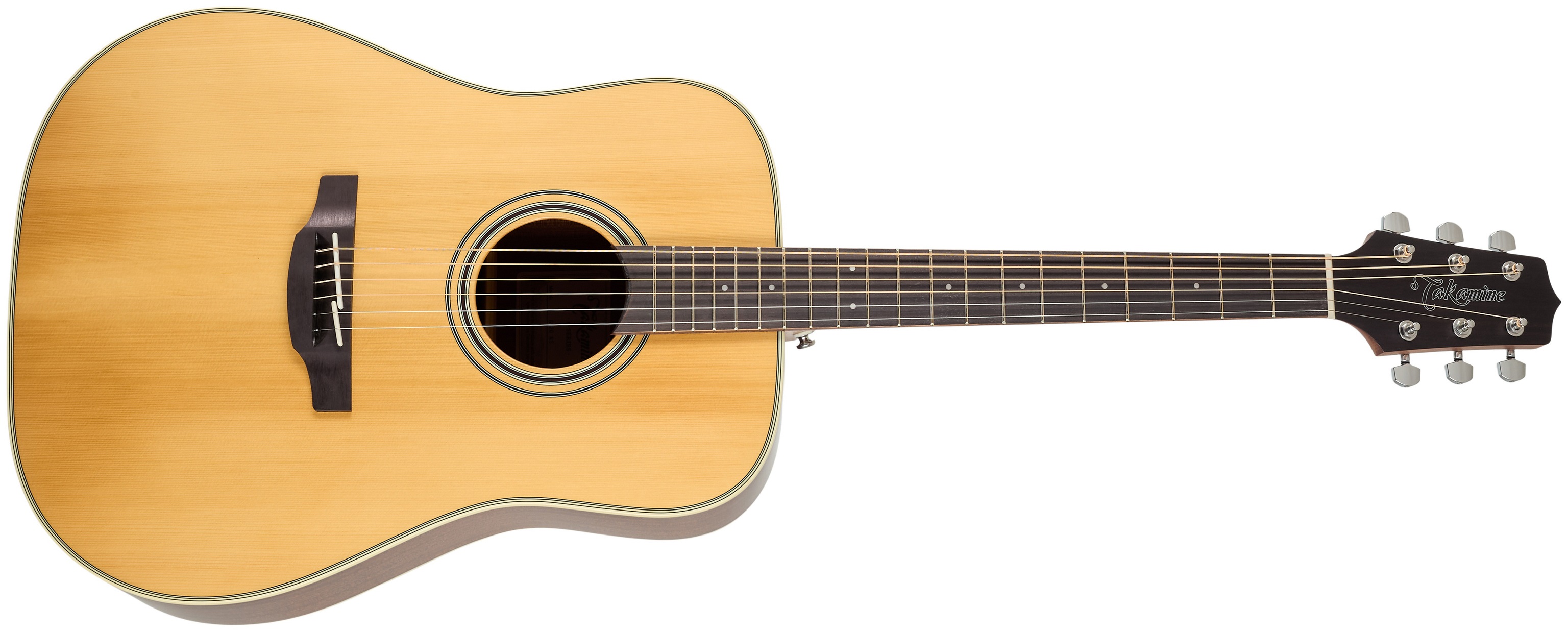 Takamine GD20-NS