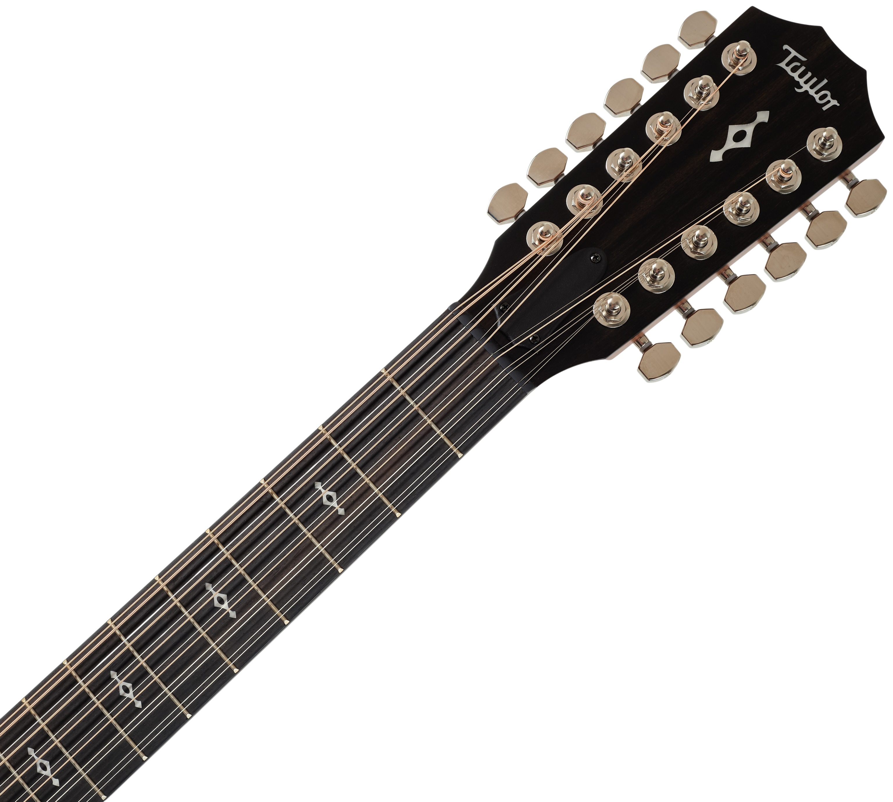Taylor 454ce Next Generation