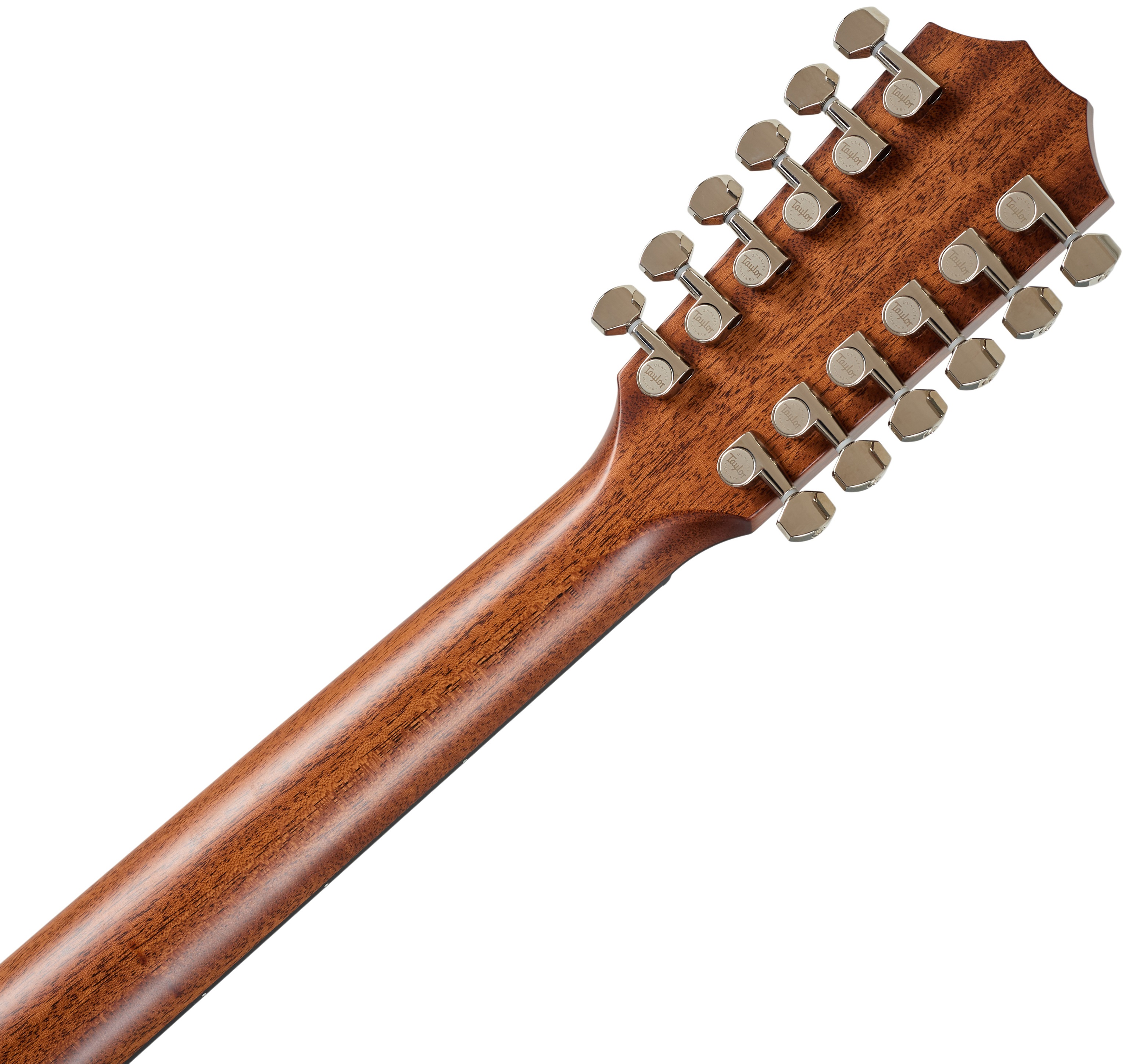 Taylor 454ce Next Generation