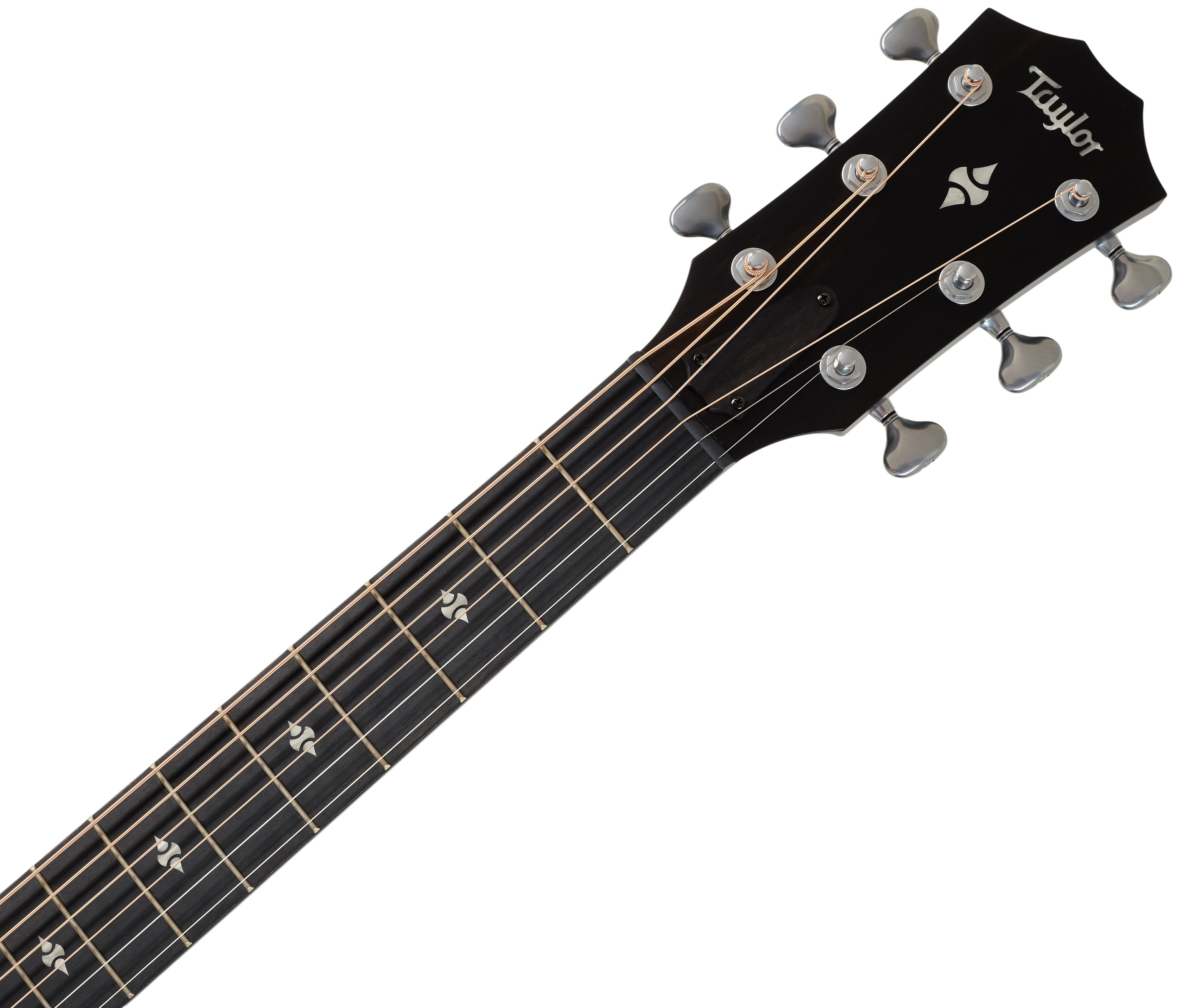 Taylor Builder's Edition 514ce Natural Next Generation