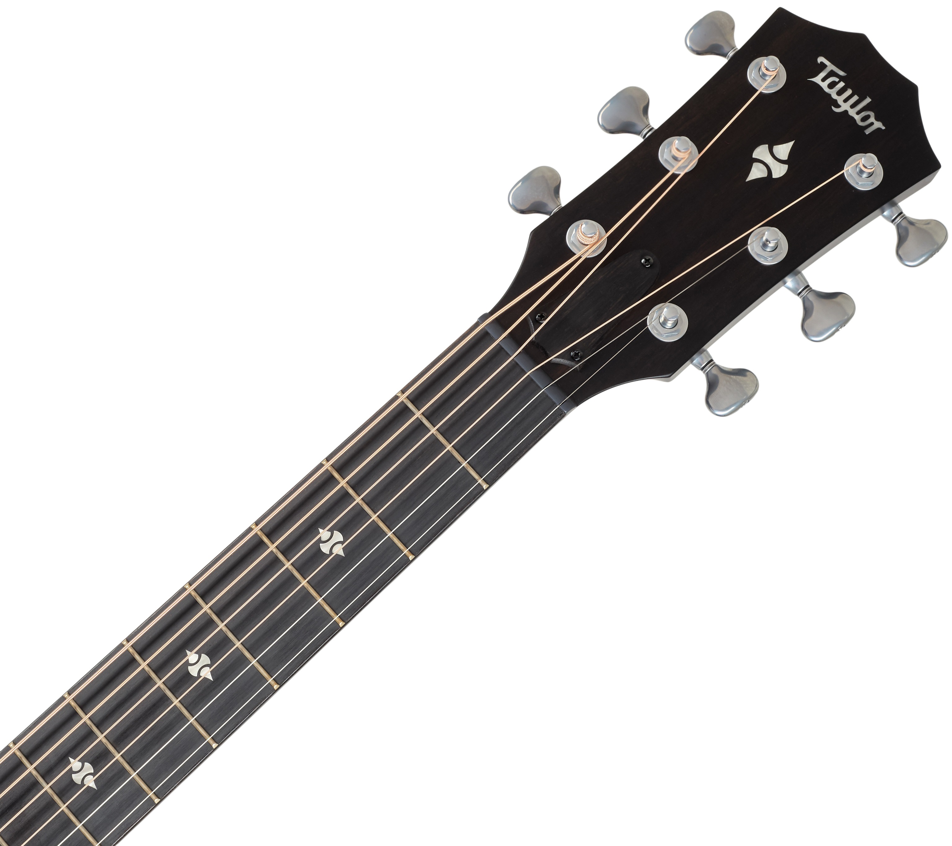 Taylor Builder's Edition 524ce Next Generation